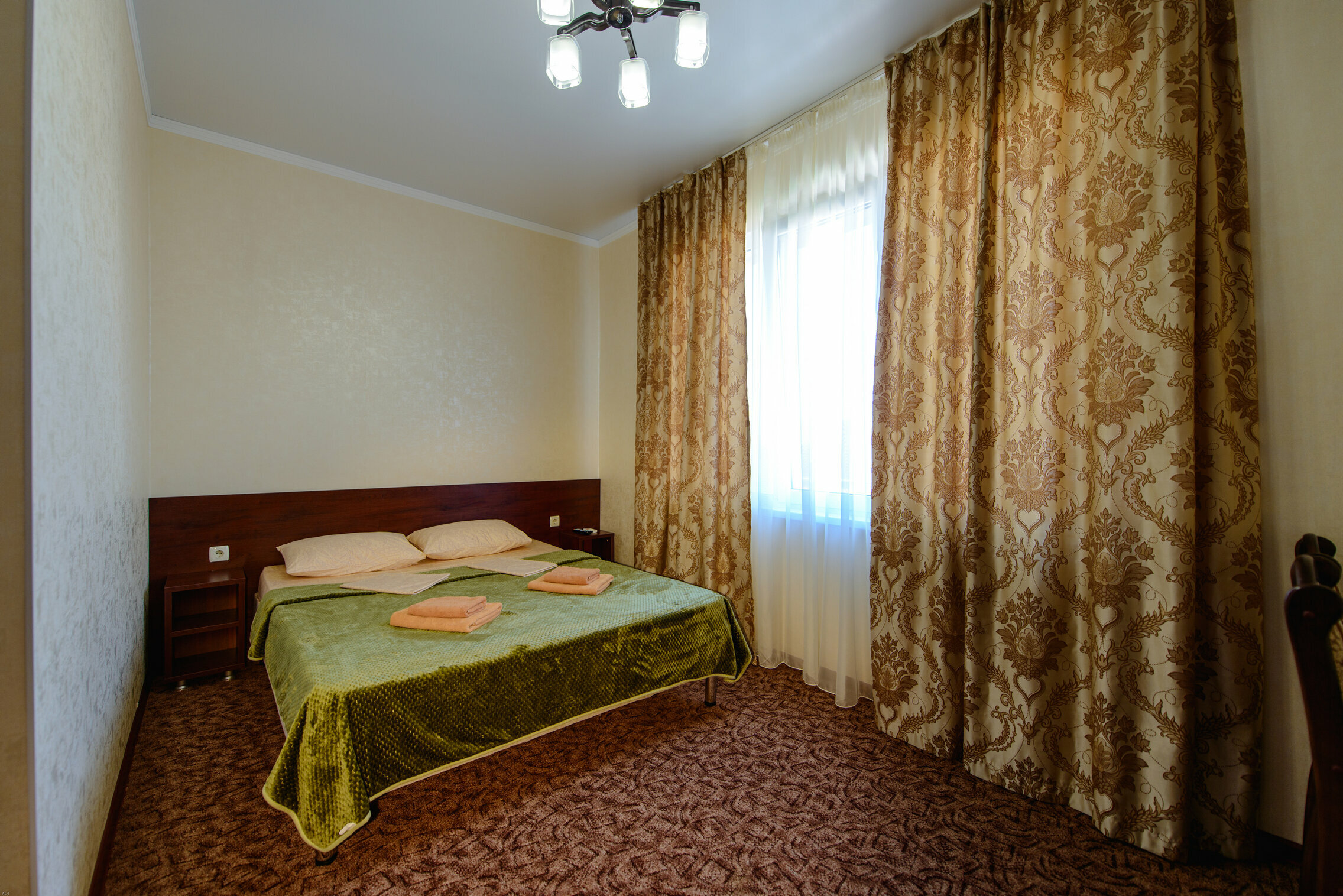 Стандартный двухместный номер с 1 кроватью или 2 отдельными кроватями