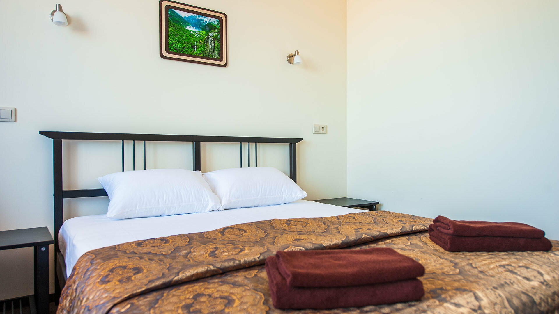 Двухместный номер с 1 кроватью