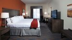 Стандартный номер, 1 двуспальная кровать «Кинг-сайз» в Holiday Inn Express Hotel & Suites Morgan City Tiger Island, an Ihg Hotel