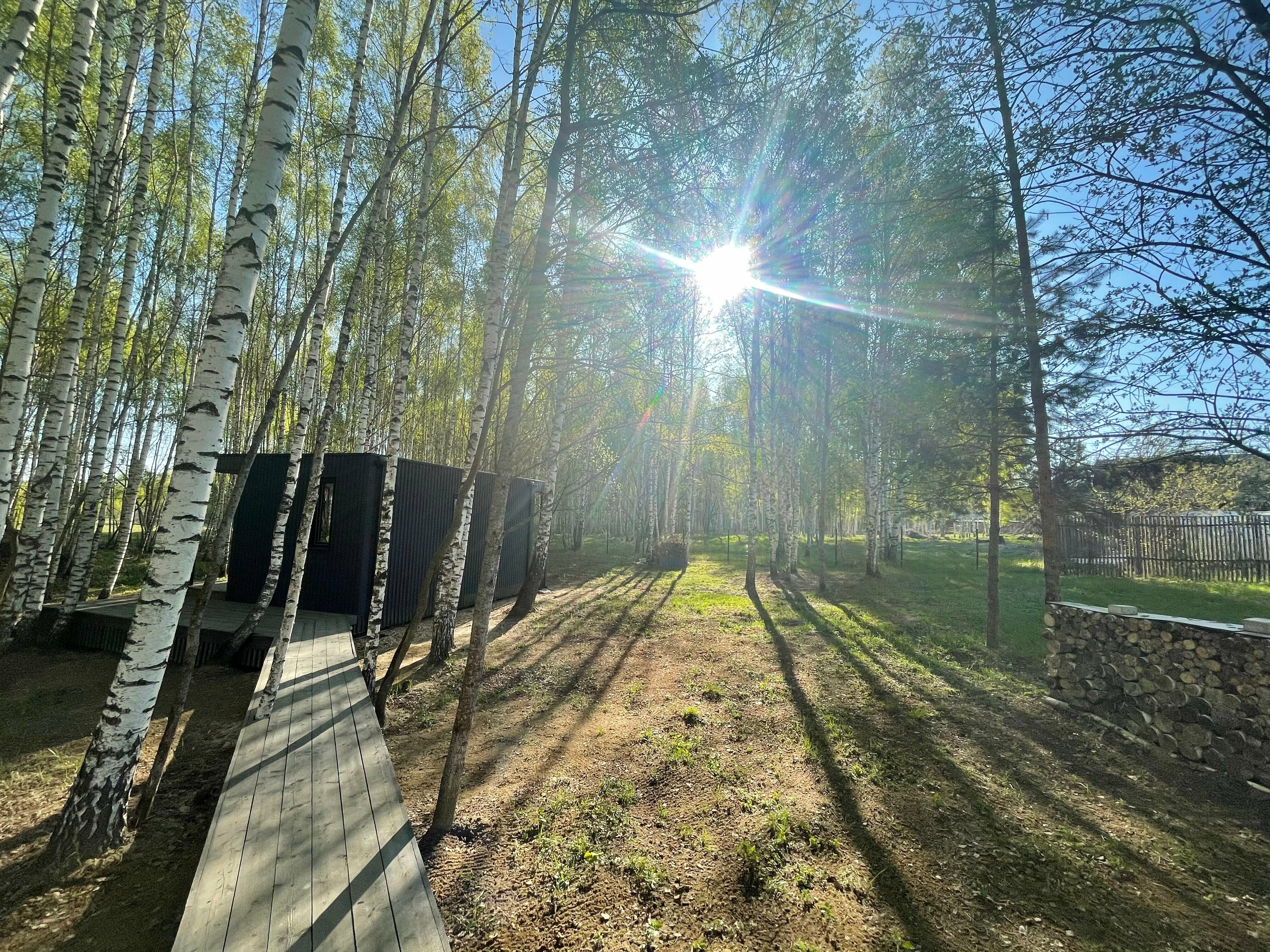 Дом с видом на лес