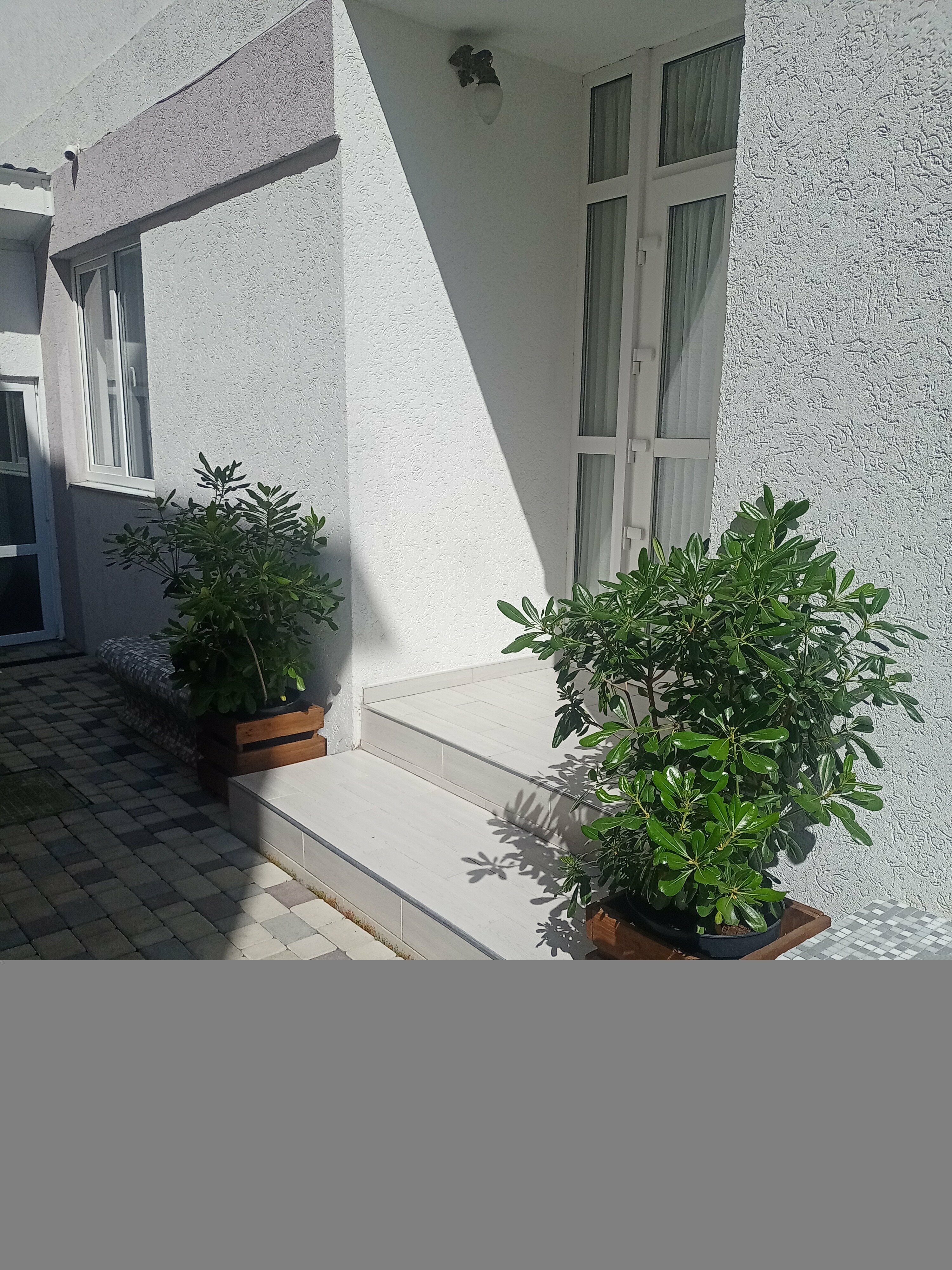 Улучшенный семейный номер