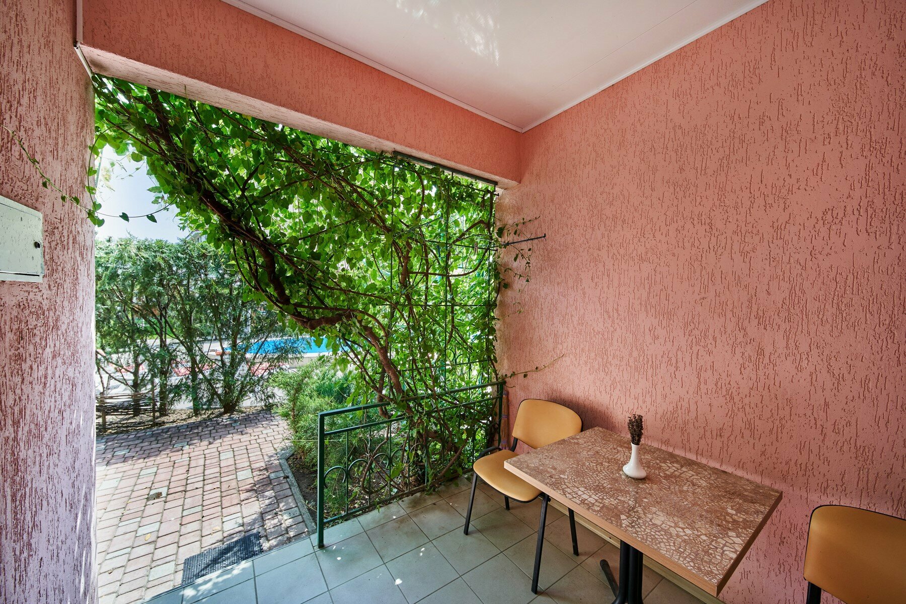 Двухместный номер с 1 кроватью или 2 отдельными кроватями и террасой