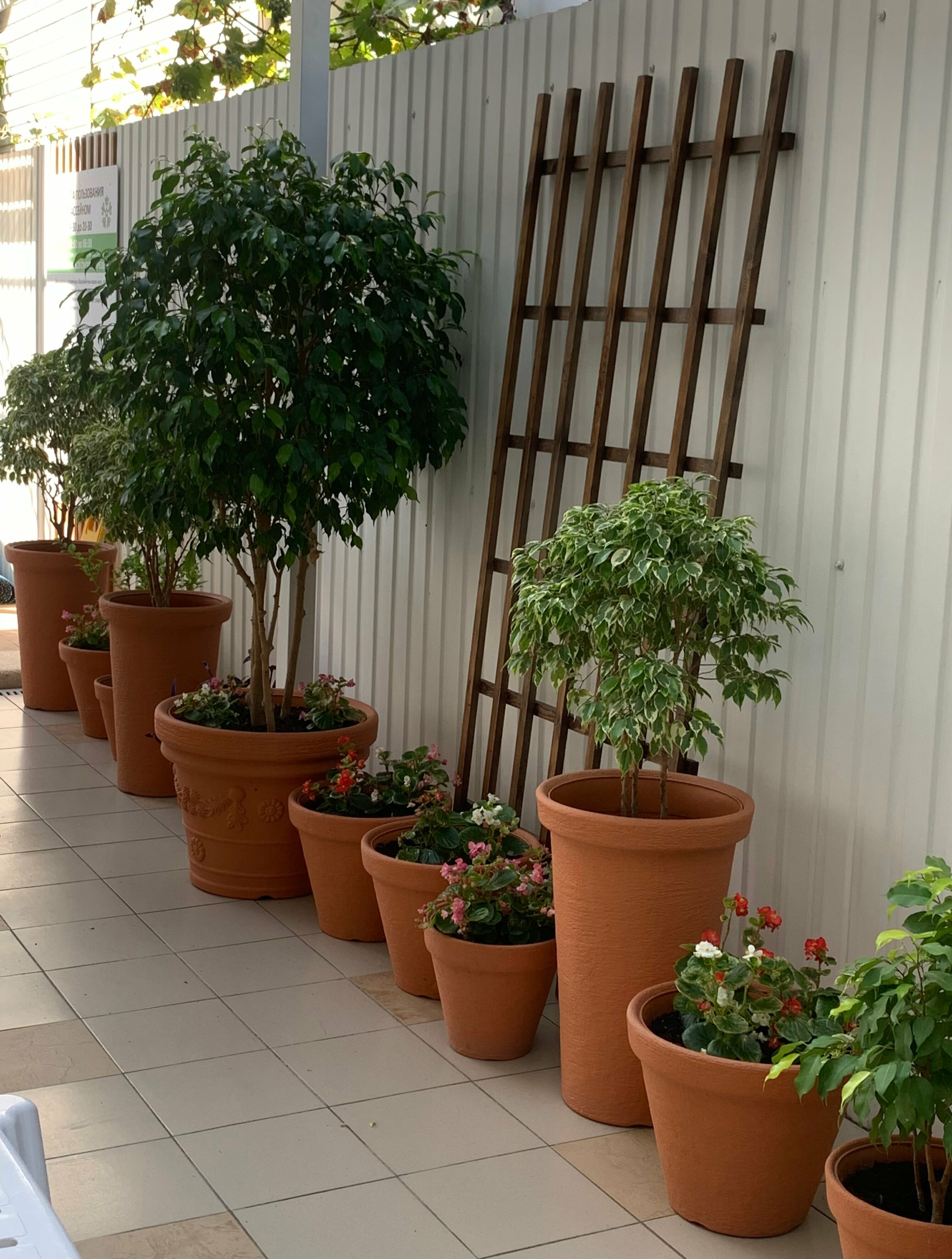 Бюджетный двухместный номер с 2 отдельными кроватями