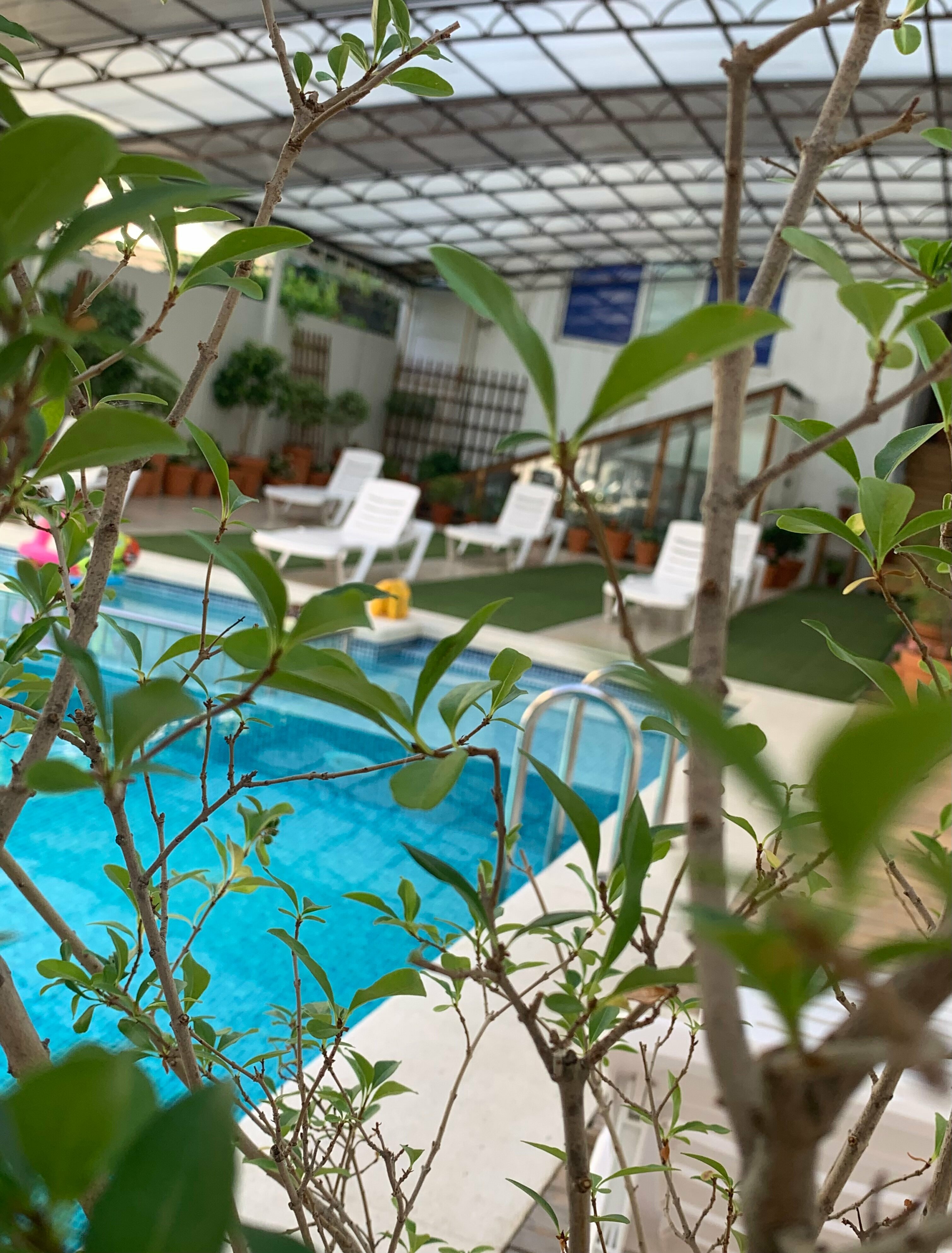 Апартаменты с 1 спальней