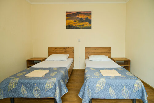 Двухместный номер с 2 отдельными кроватями в Вятка