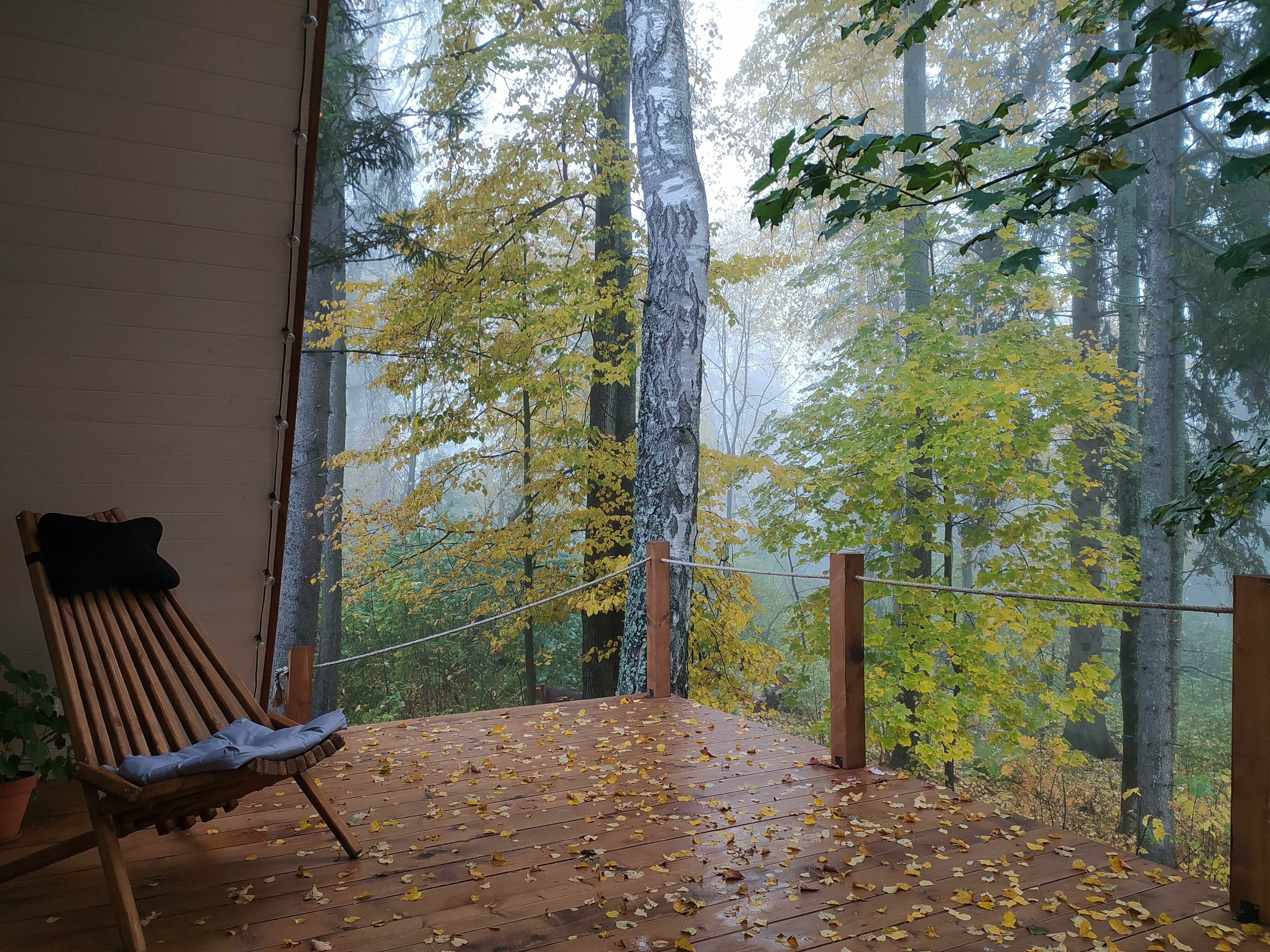 треугольный дом в лесу с высокой террасой и чаном