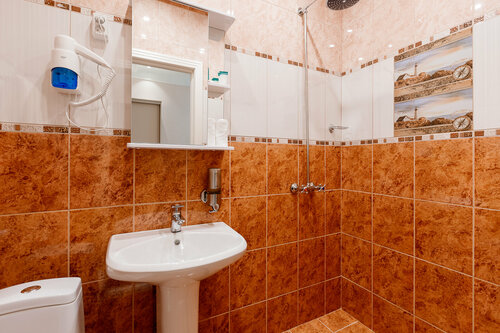 Двухместный номер с 1 кроватью