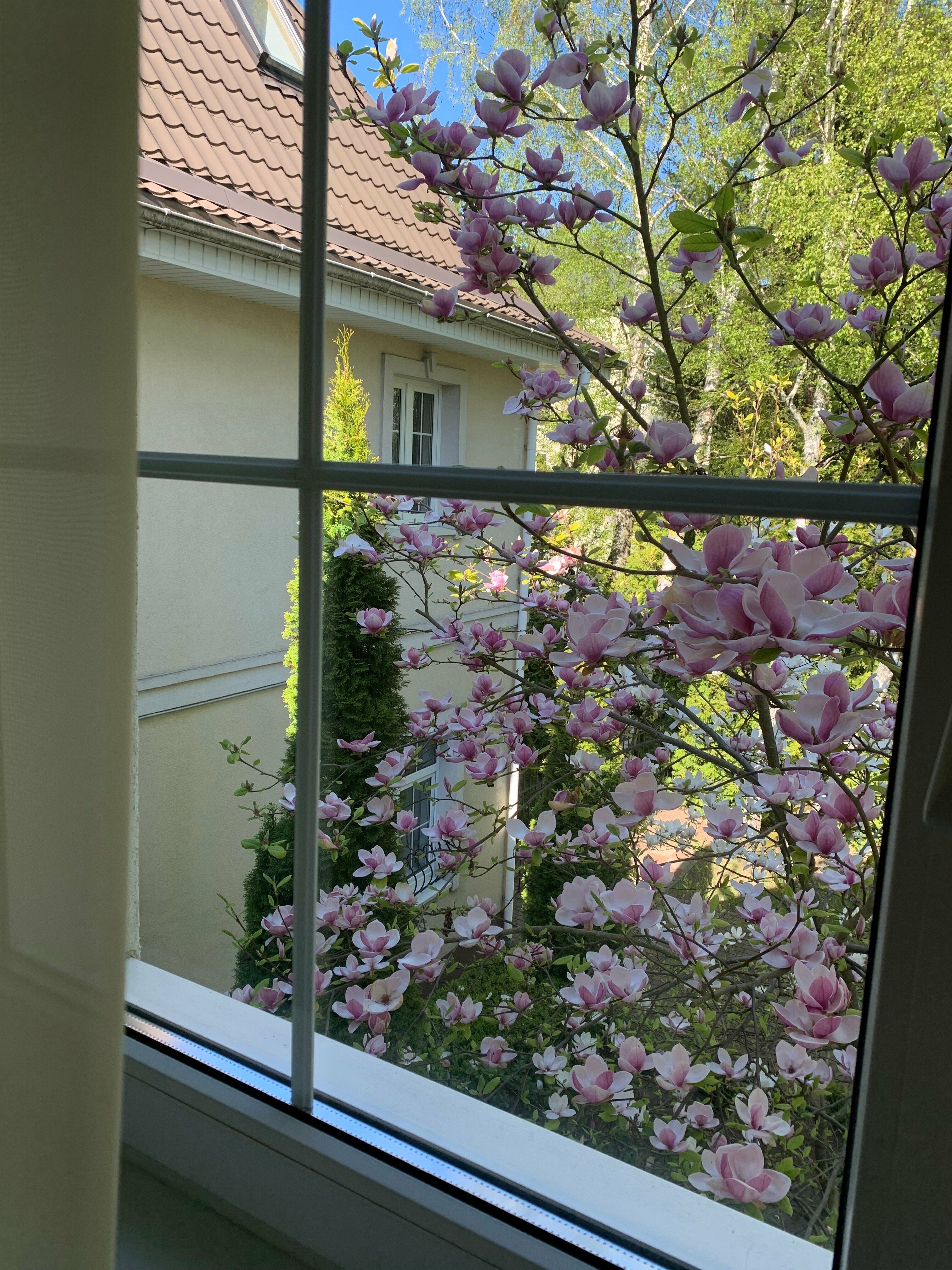 Двухместное размещение ( большая кровать)