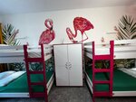 Кровать в общем 6-местном номере для женщин в HDhostel