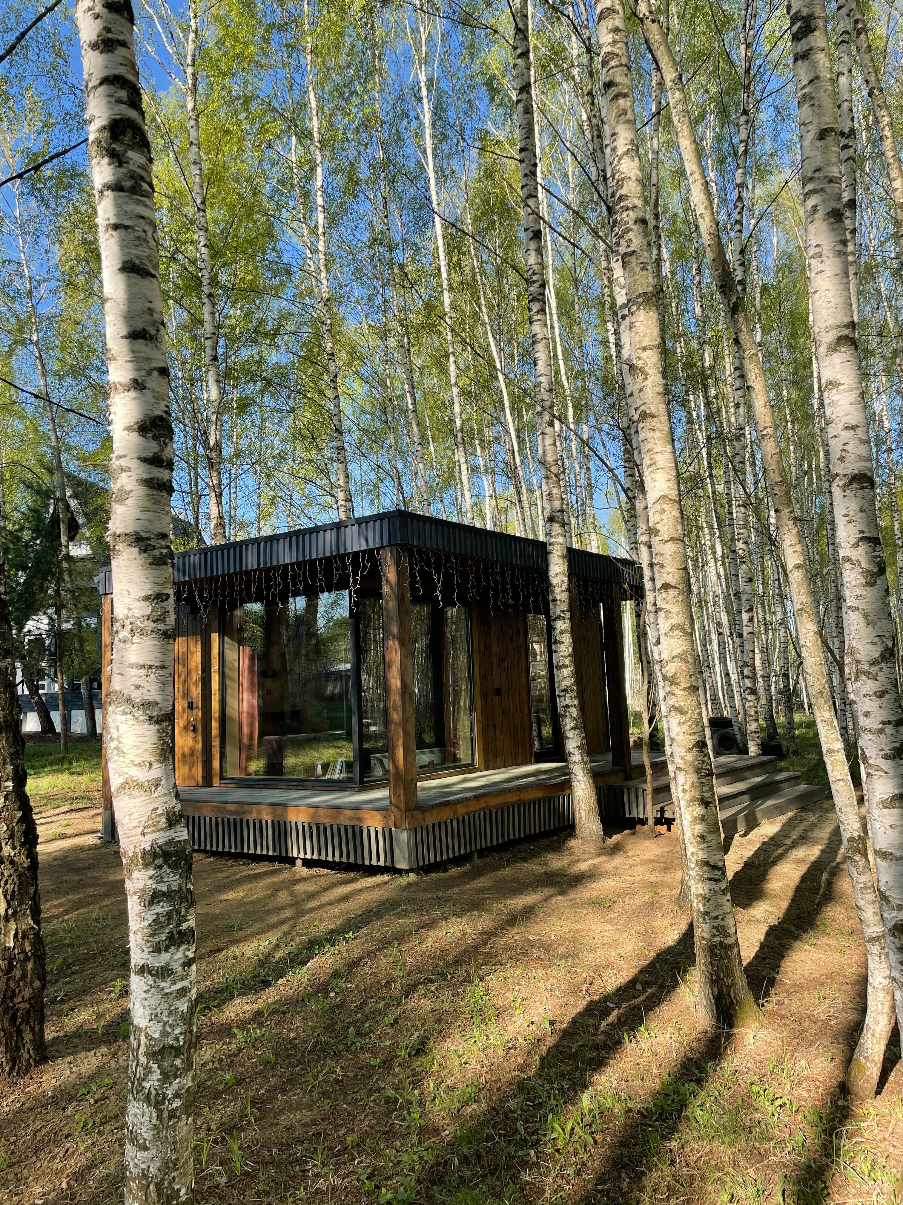 Дом с видом на лес