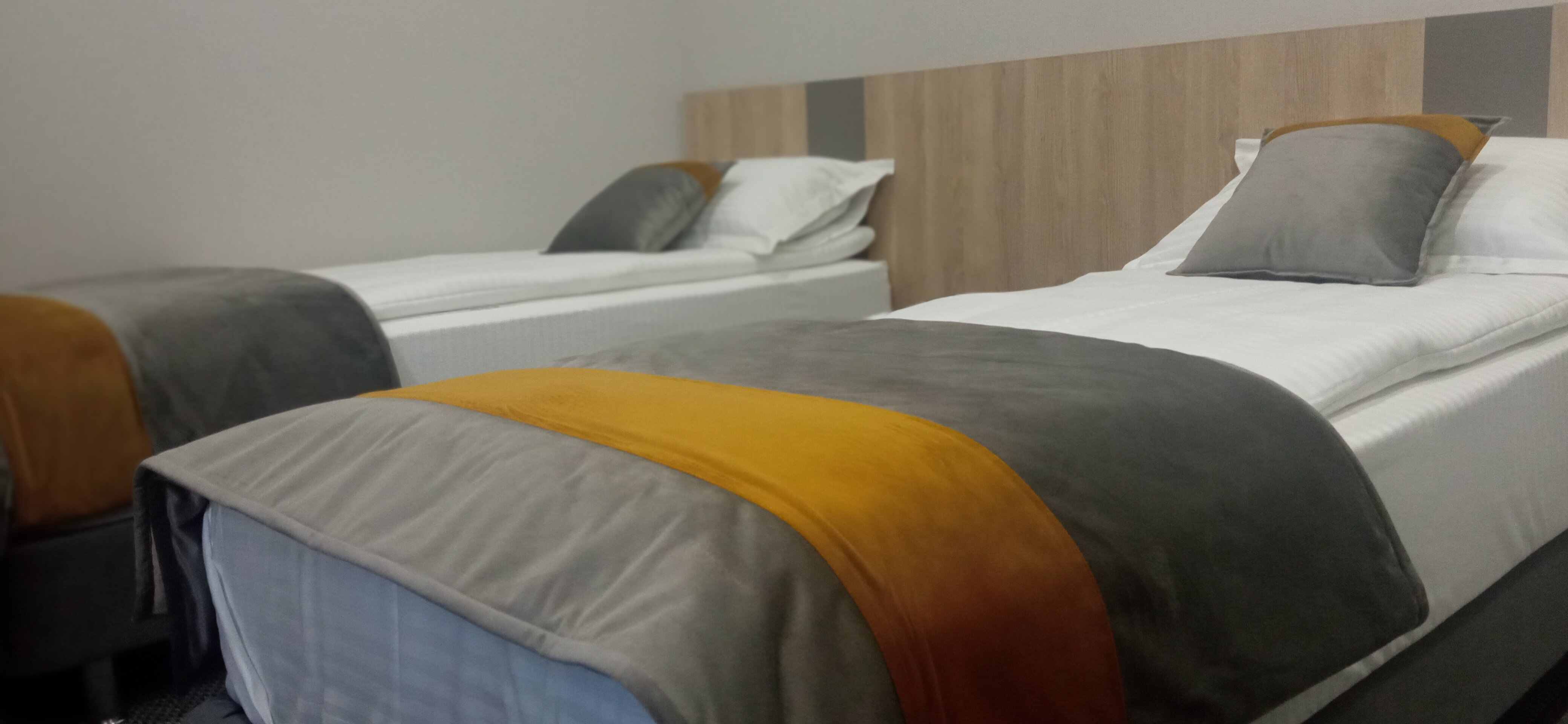 Двухместный номер с 1 кроватью или 2 отдельными кроватями, вид на горы