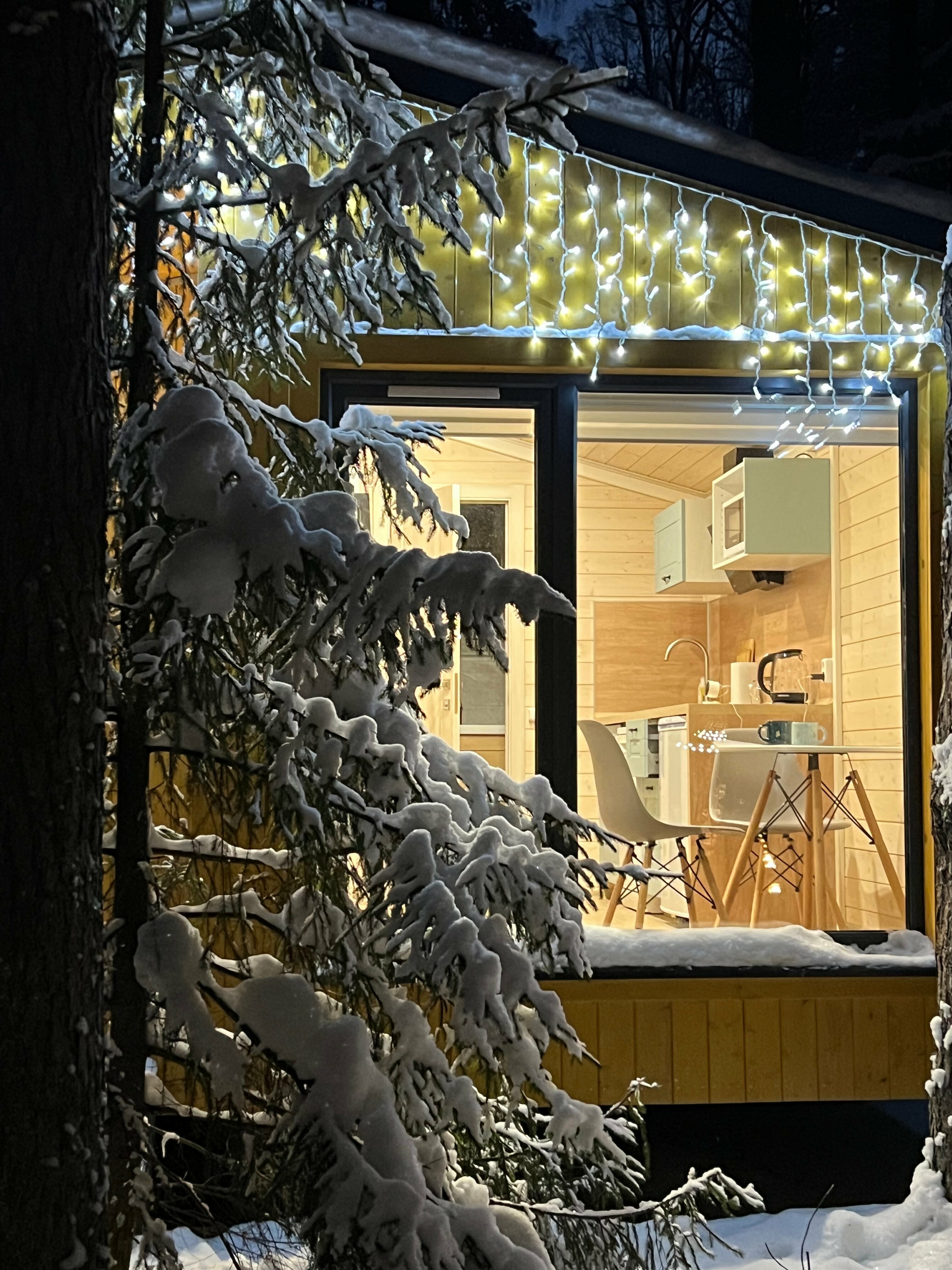 Дом с 1 спальней