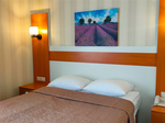 Двухместный номер с 1 кроватью или 2 отдельными кроватями в Отель Самбия
