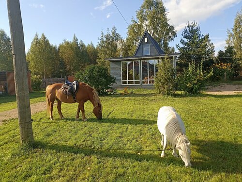 Дом с 2 спальнями