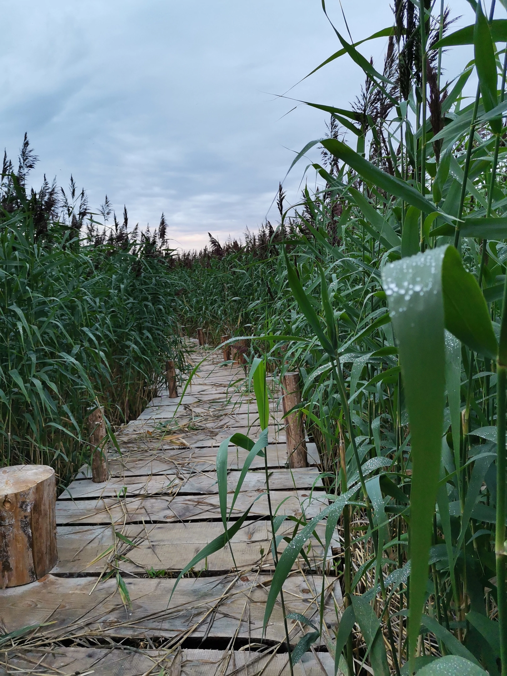 Двухместный номер с 1 кроватью