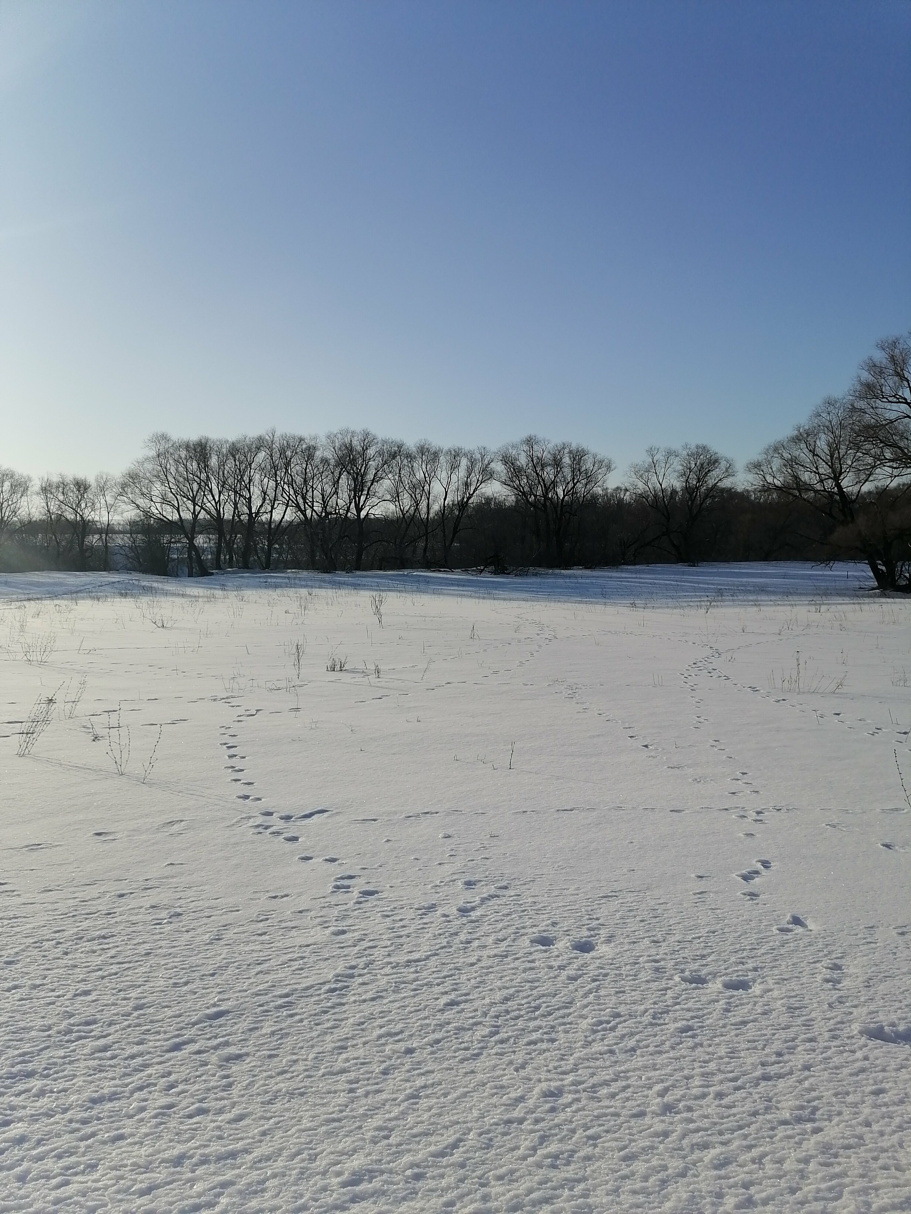 Дом для семейного отдыха