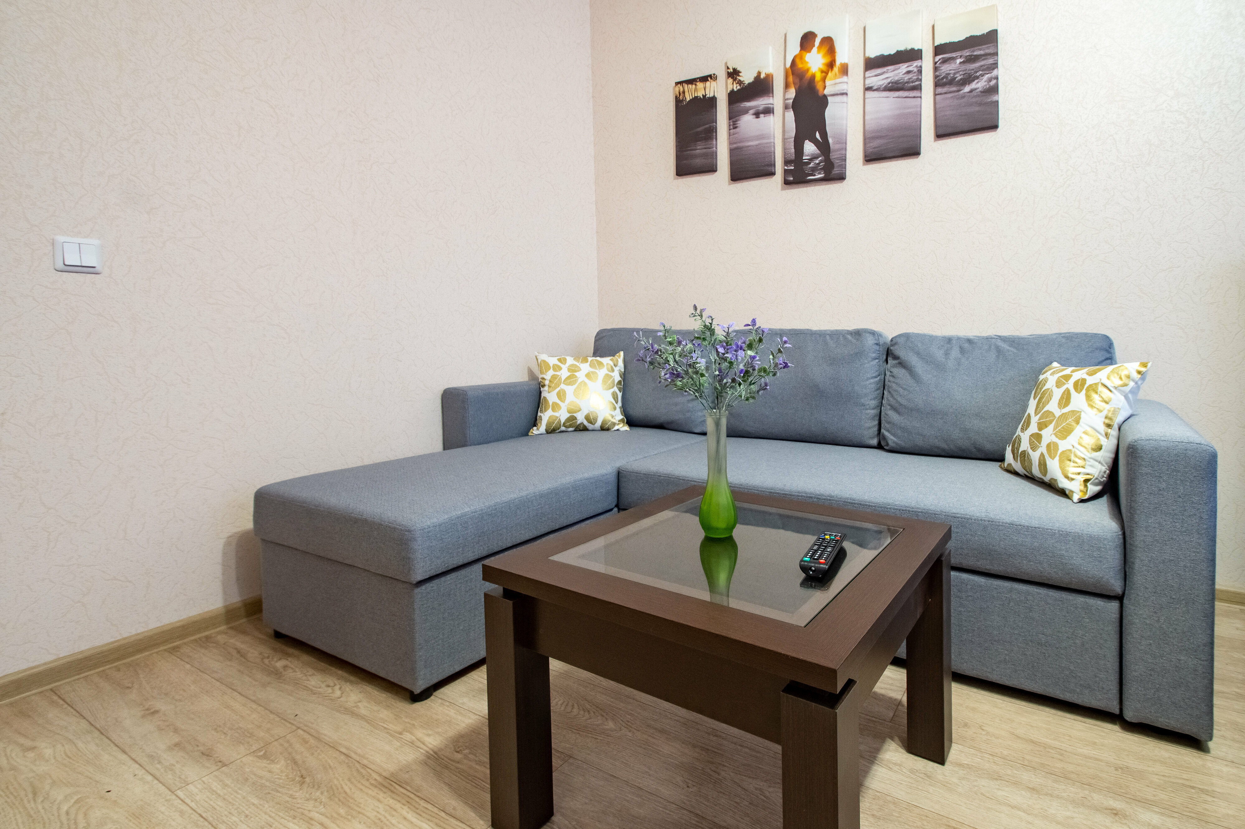 Апартаменты с 1 спальней