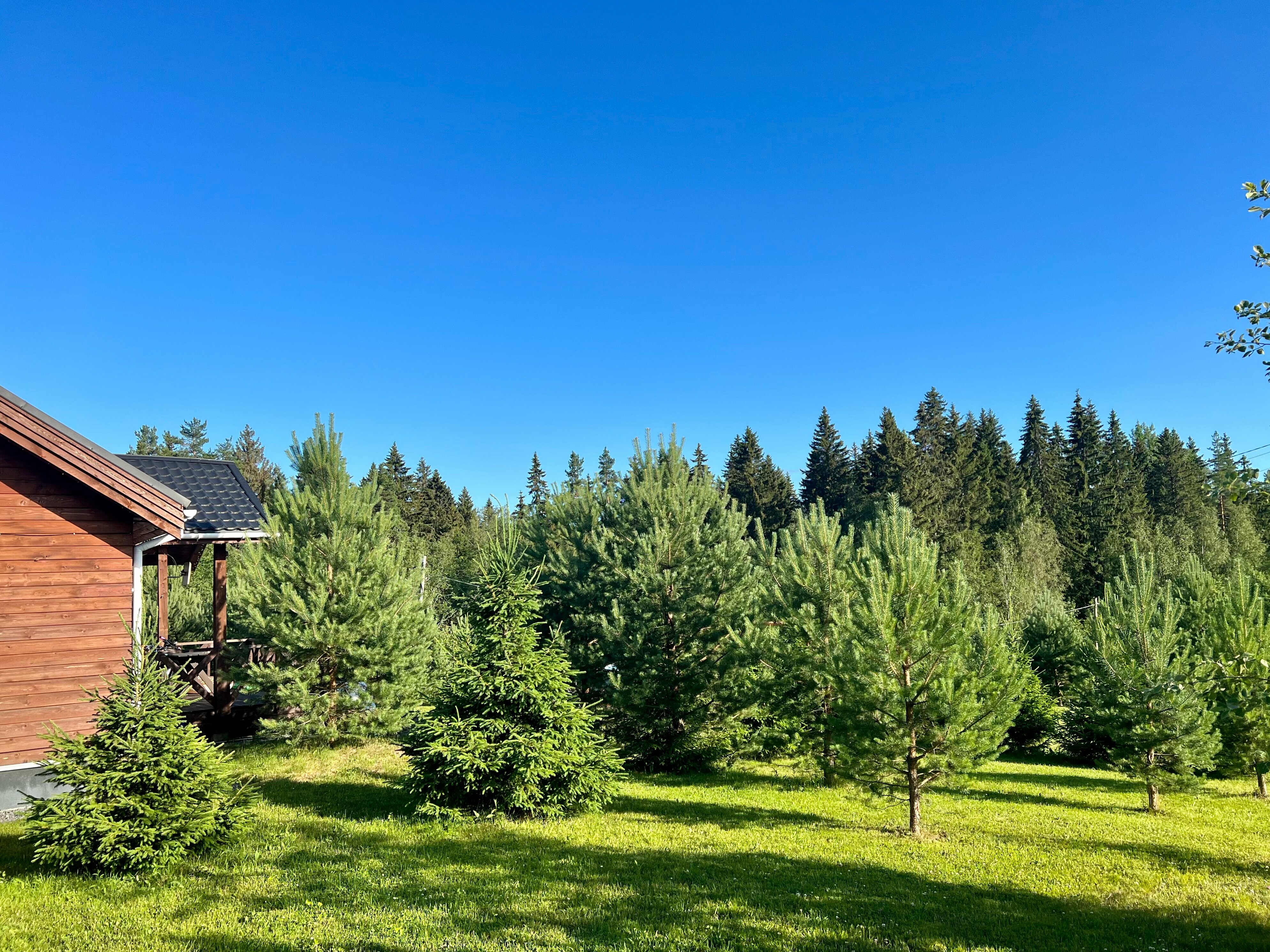 Коттедж с 4 спальнями, с сауной, 2 санузлами, на 8(+4) чел.