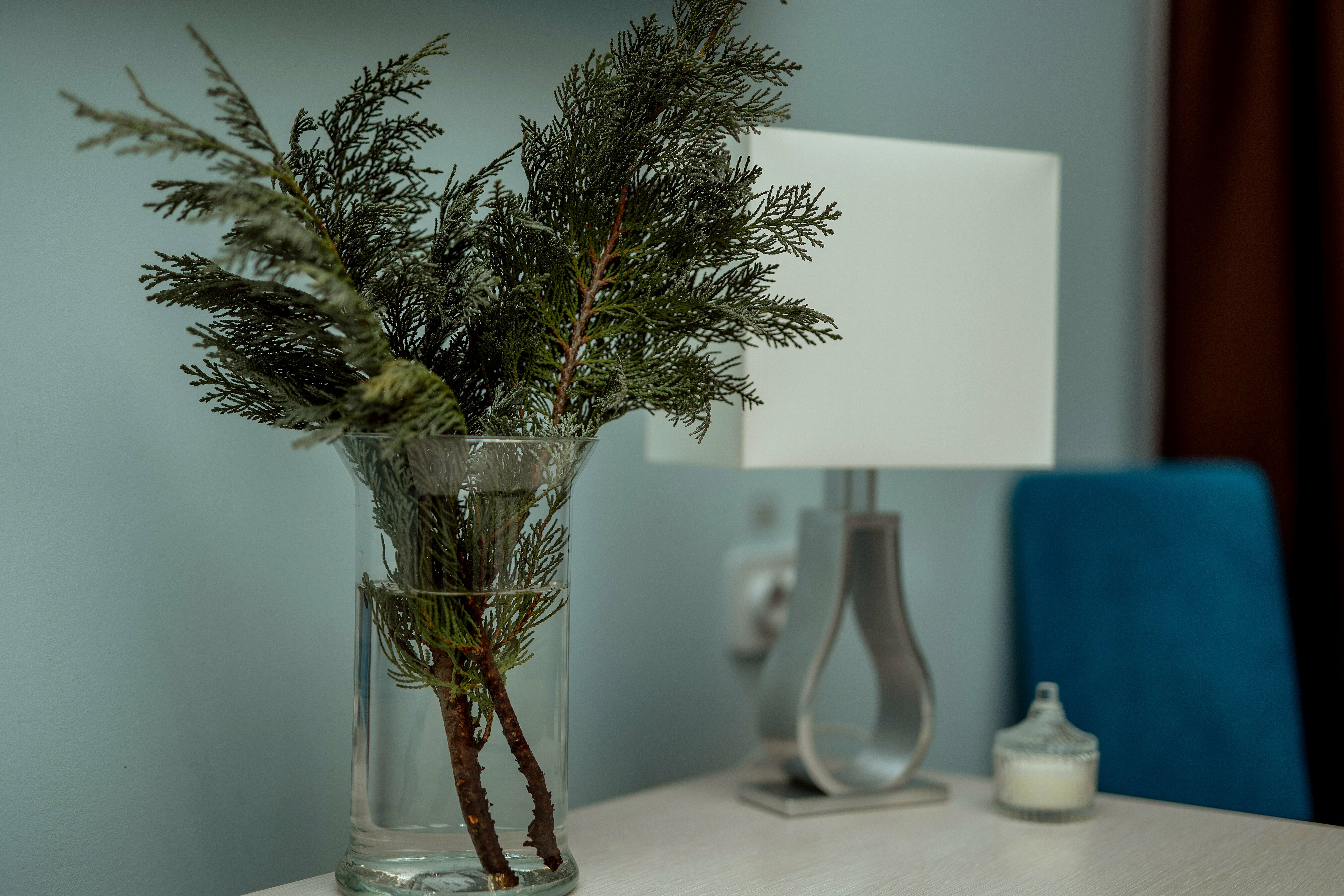 Двухместный номер Делюкс с 1 кроватью