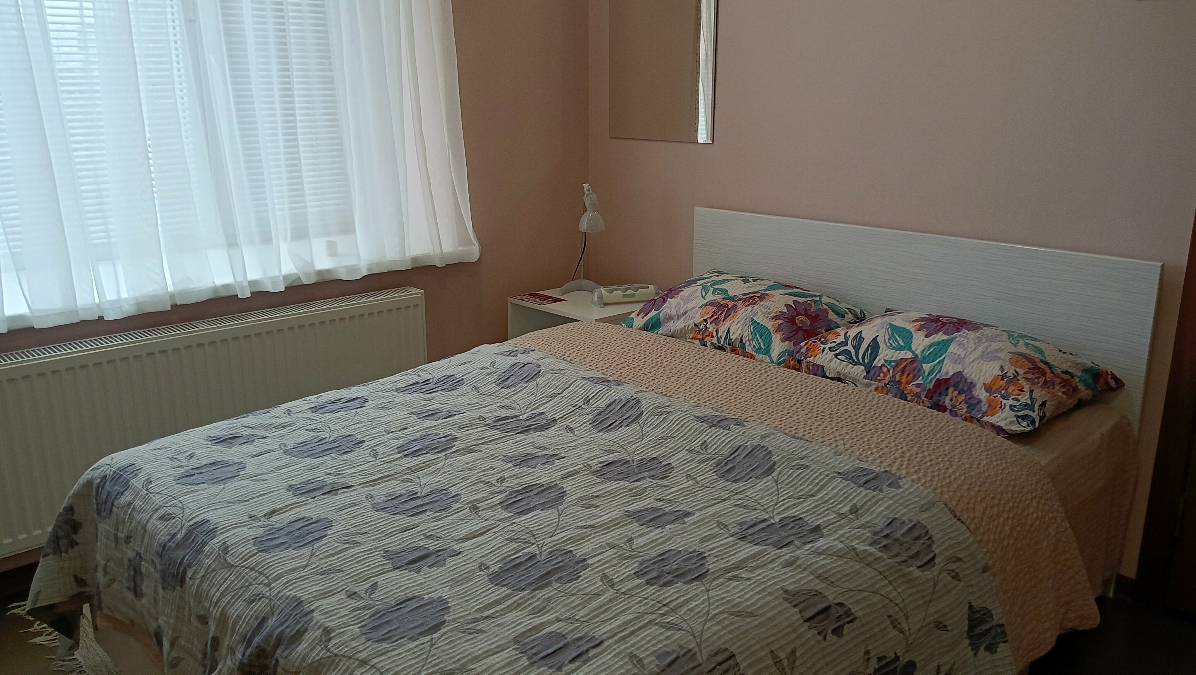 Двухместный номер с 2 отдельными кроватями и душем