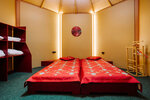 Двухместный номер с 2 отдельными кроватями в Пермапарк
