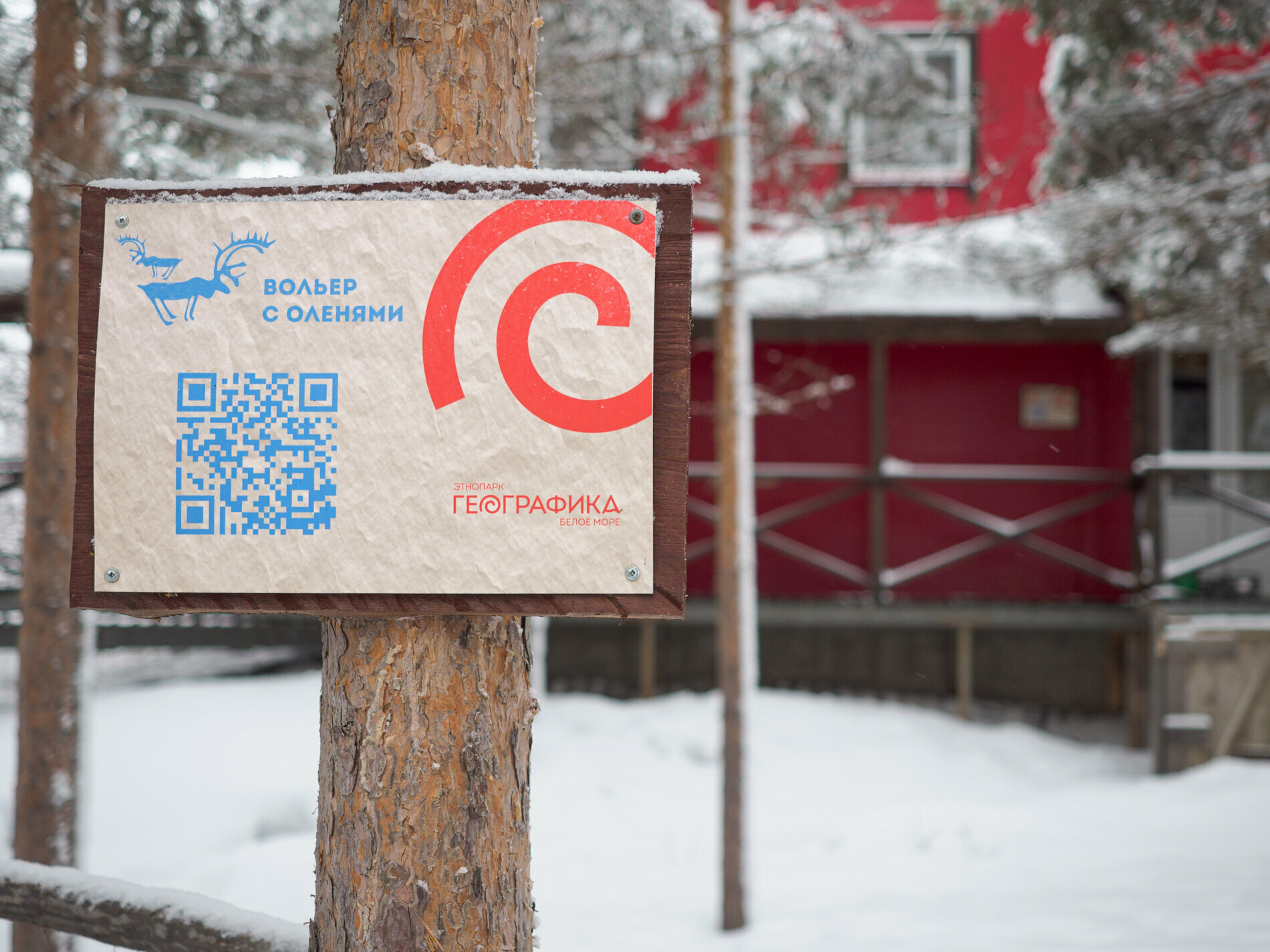 Двухместный номер с 1 кроватью или 2 отдельными кроватями