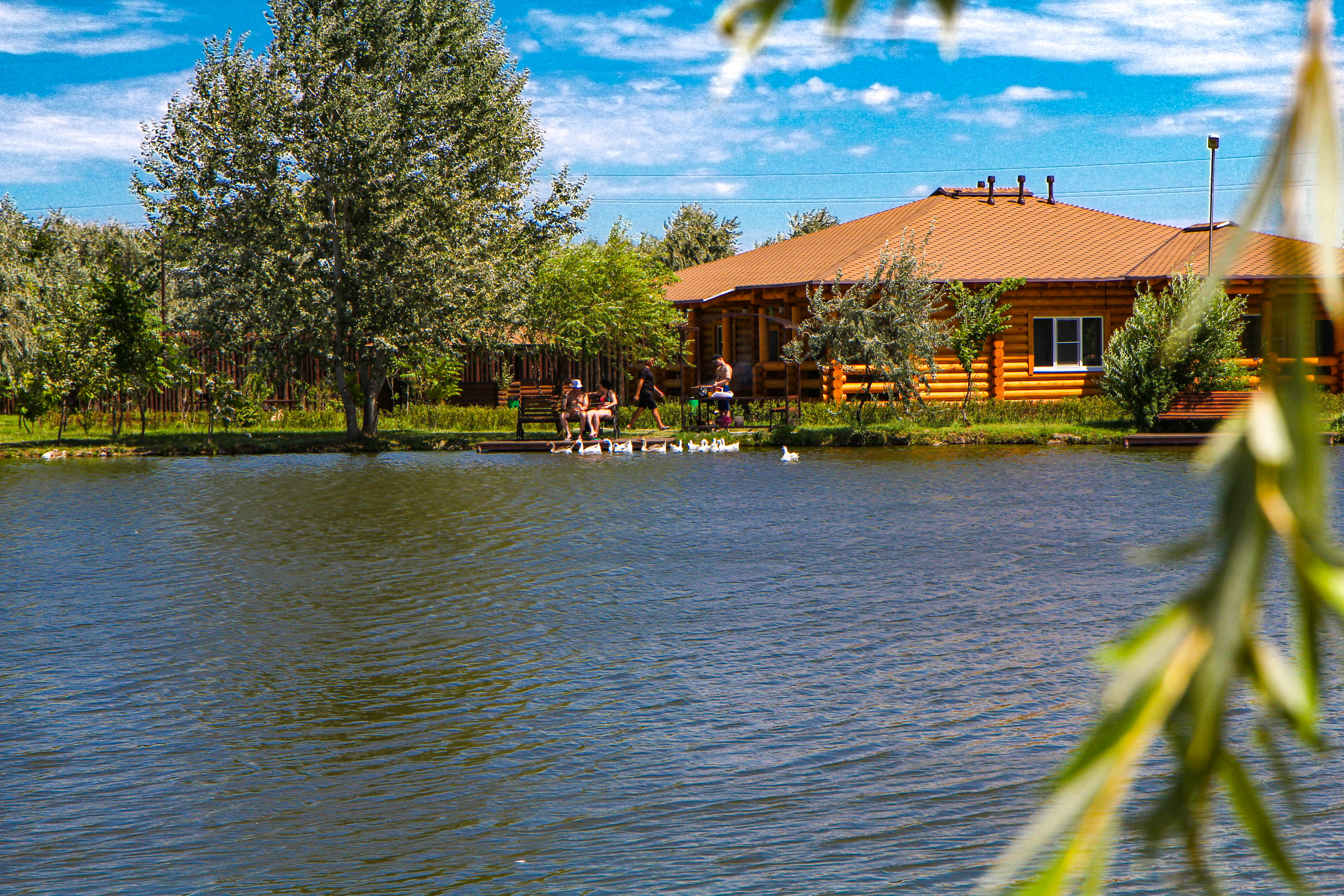 Двухместный номер с 1 кроватью или 2 отдельными кроватями