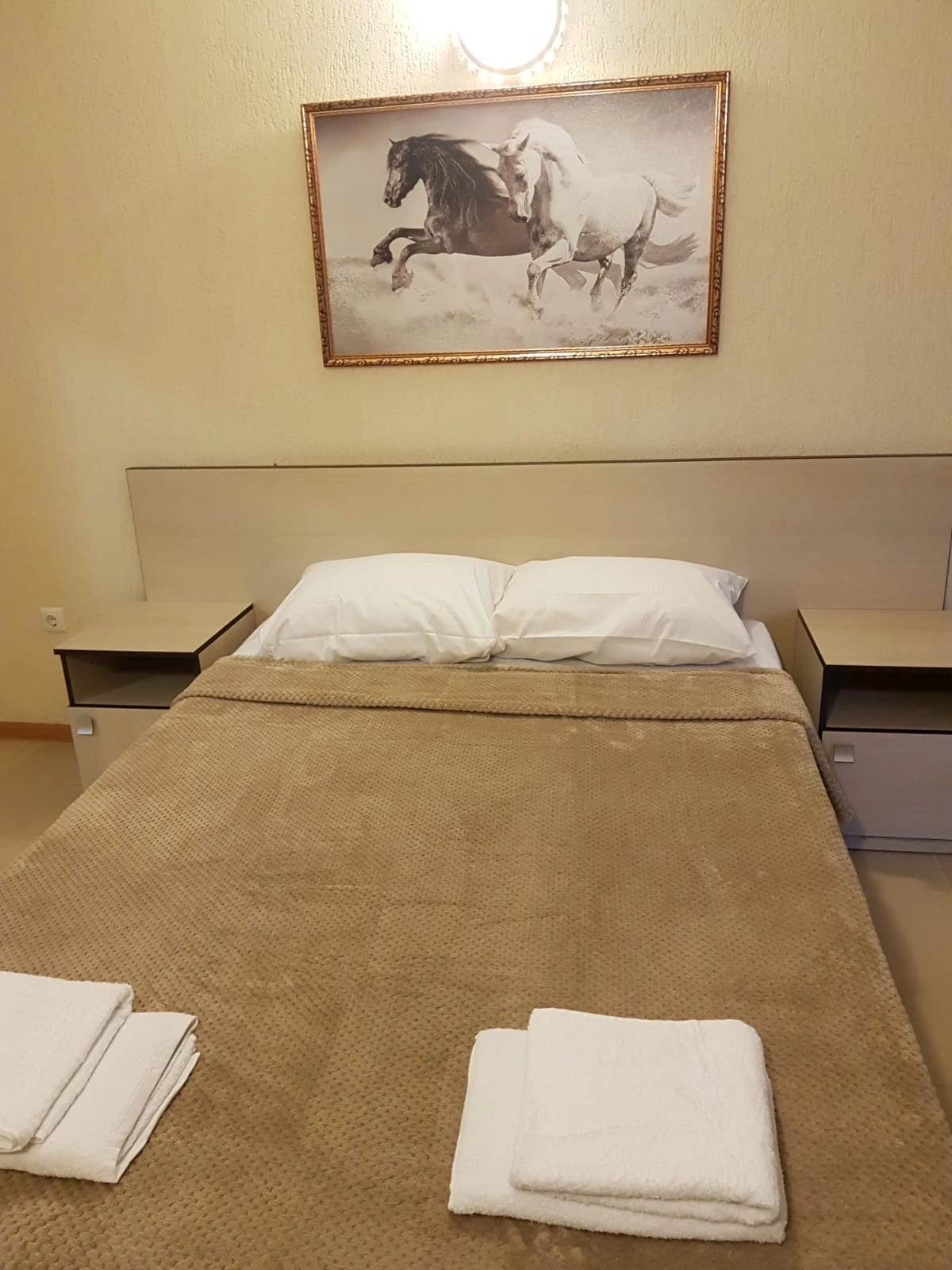 Двухместный с 1 кроватью или 2 отдельными кроватями и душем