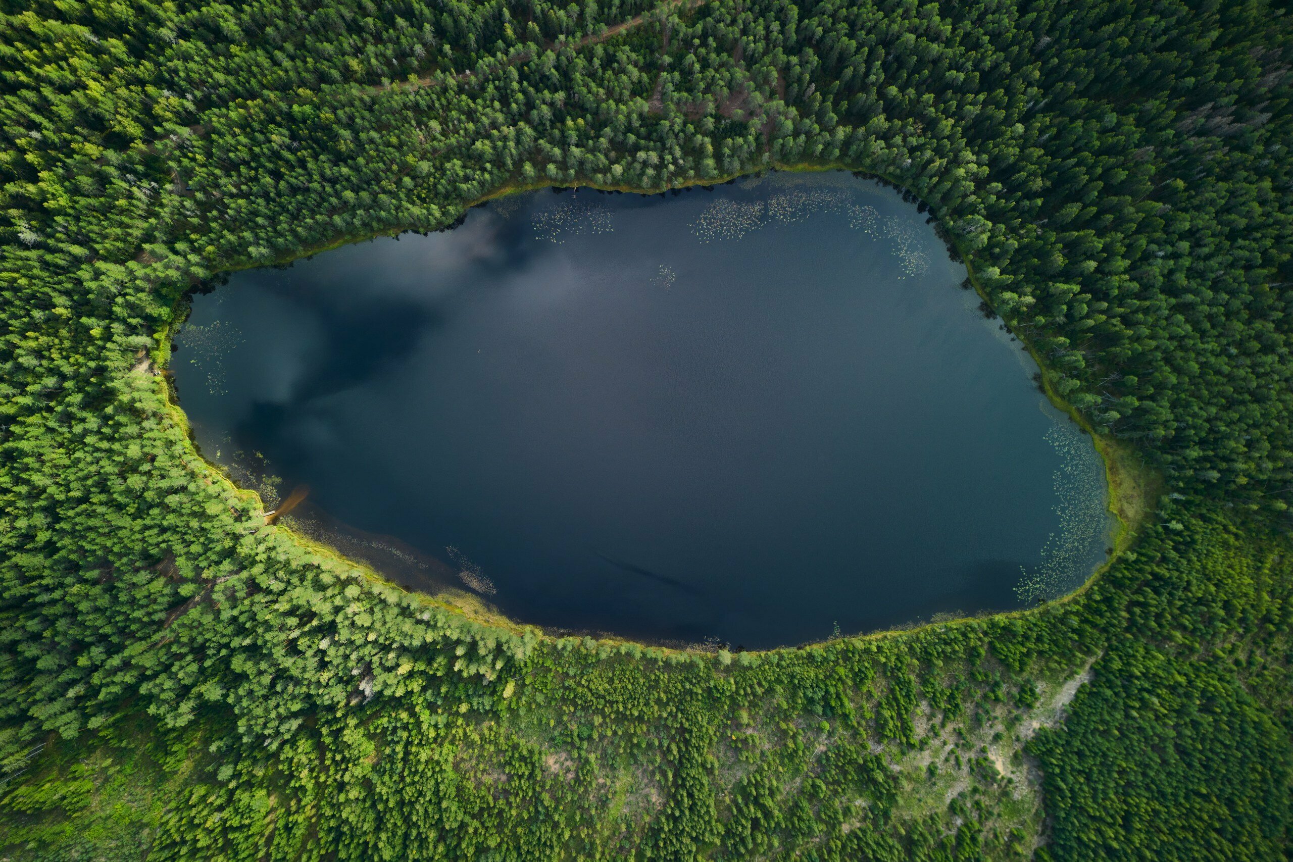 Семейный номер с террасой