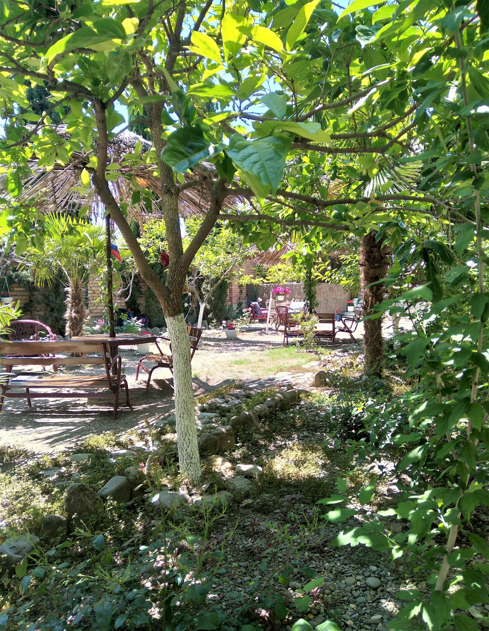 Двухместный номер с 2 отдельными кроватями и балконом