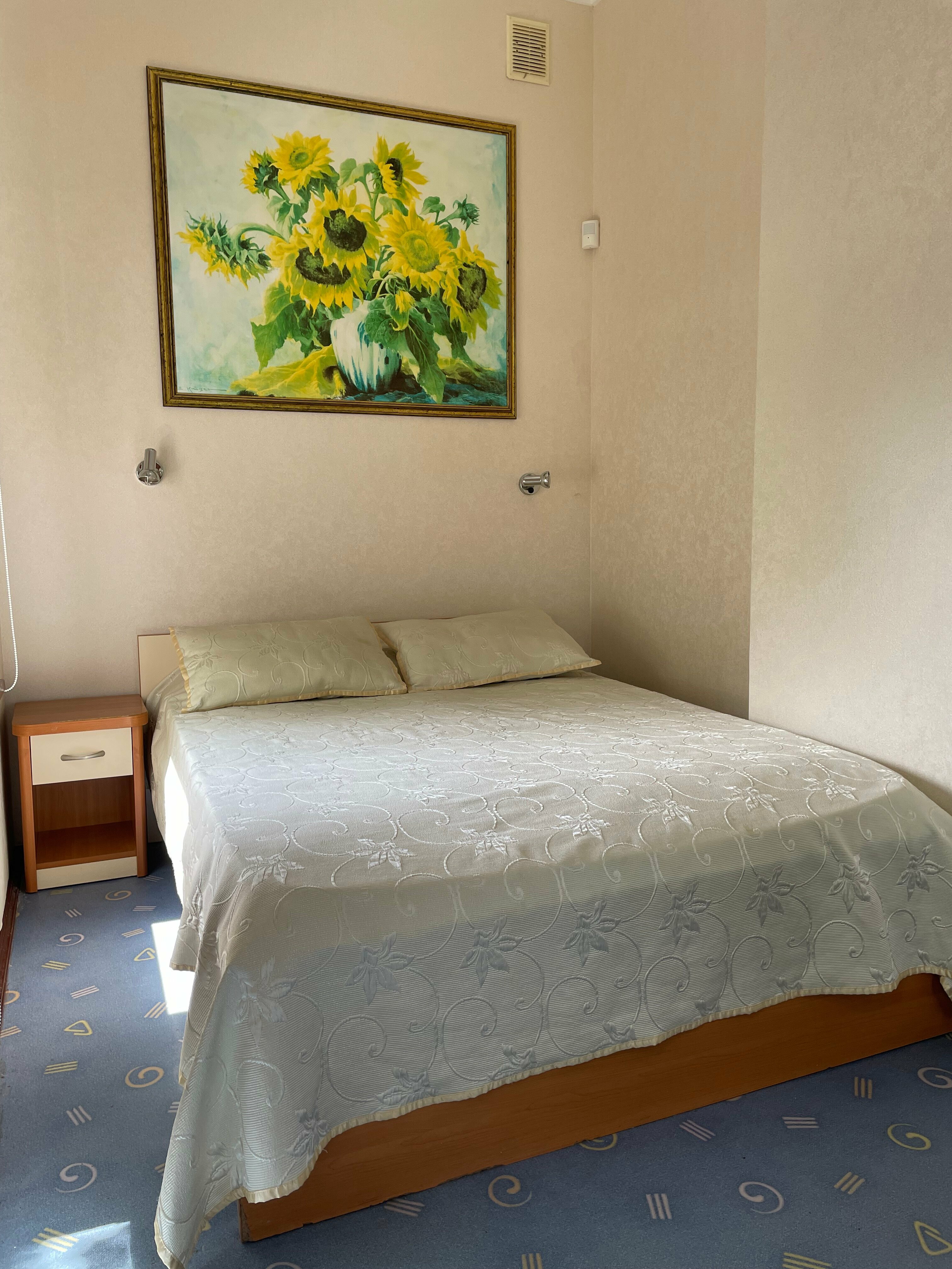 Двухместный номер с 1 кроватью и балконом