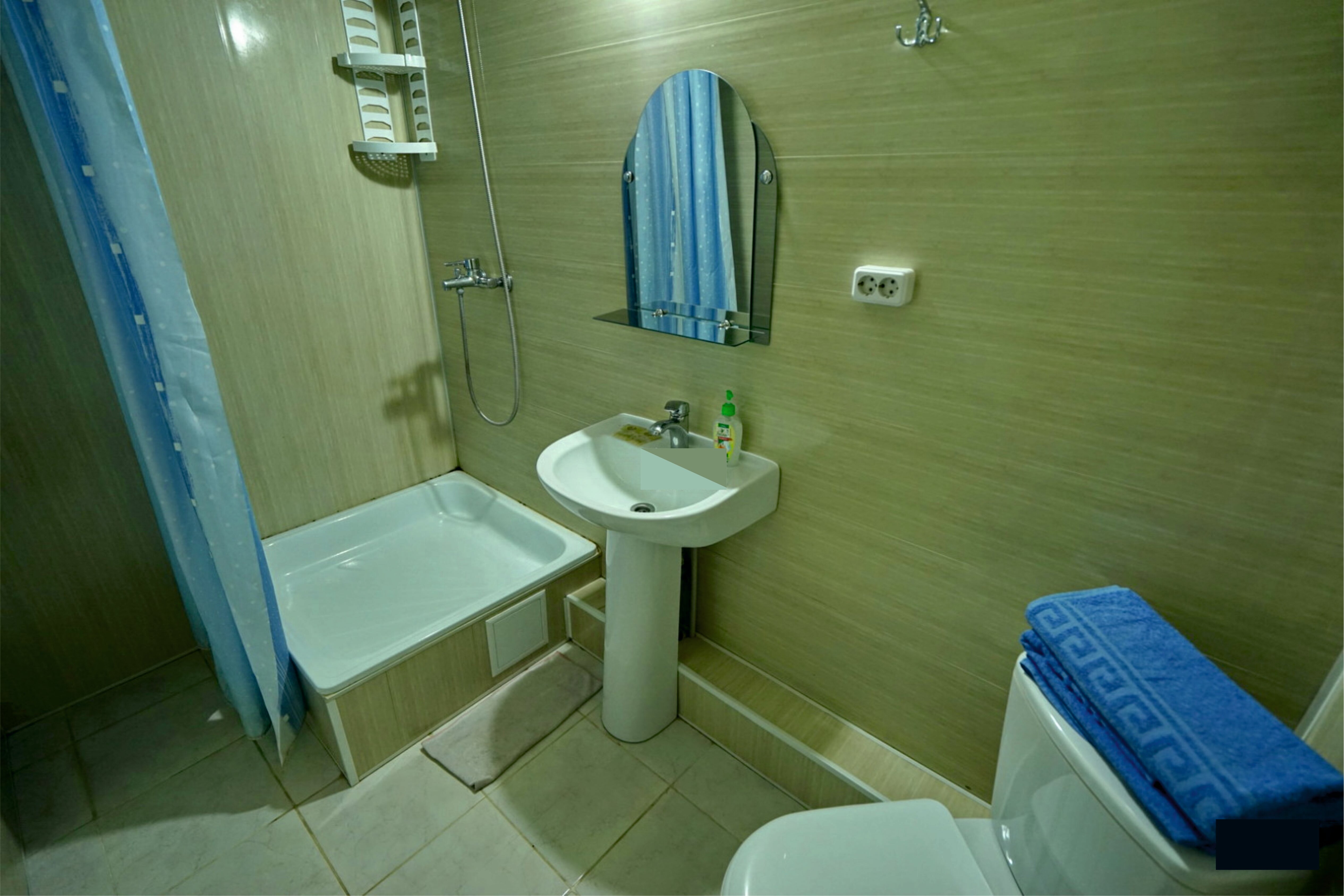 Двухместный номер с 1 кроватью