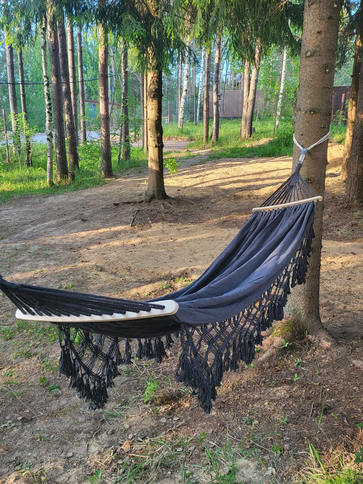 Коттедж с видом на лес