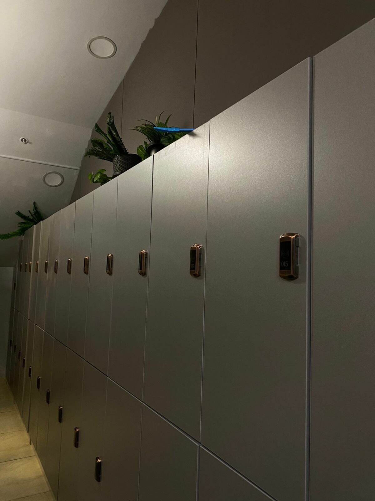 Односпальная кровать в общем номере для мужчин и женщин