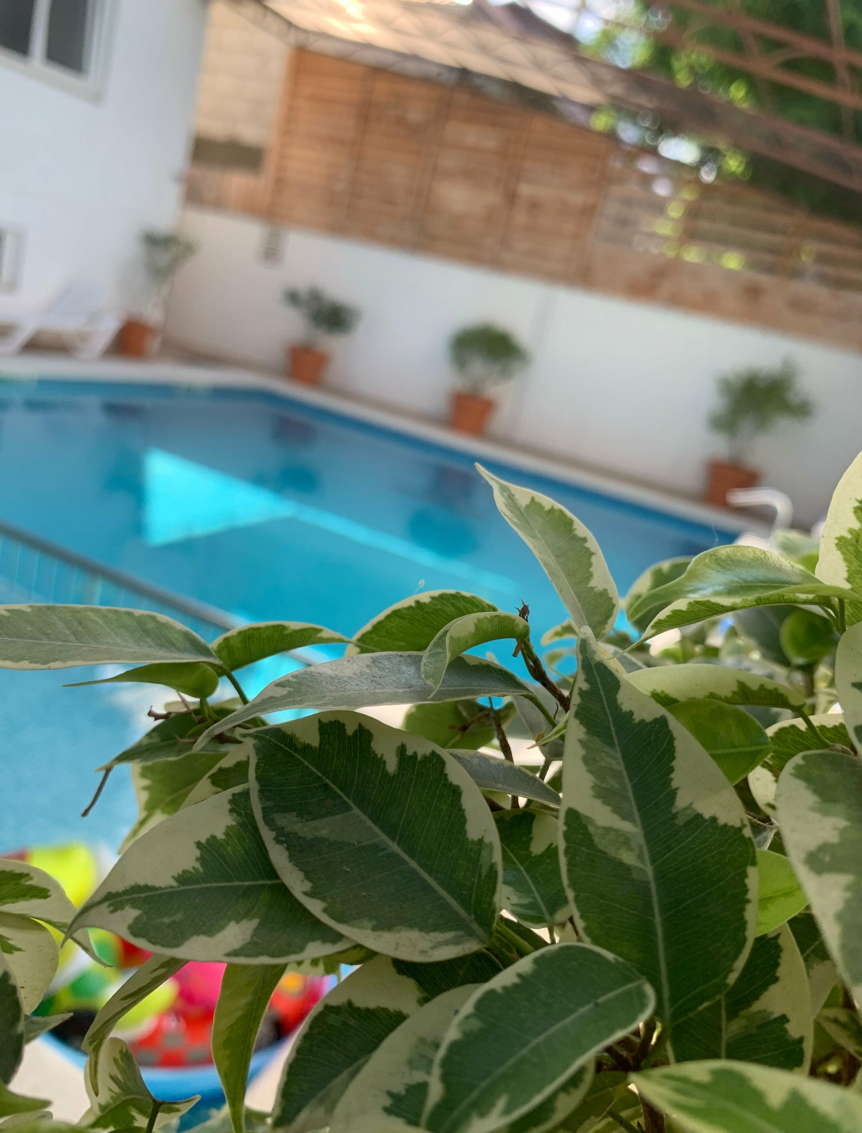 Апартаменты с 1 спальней