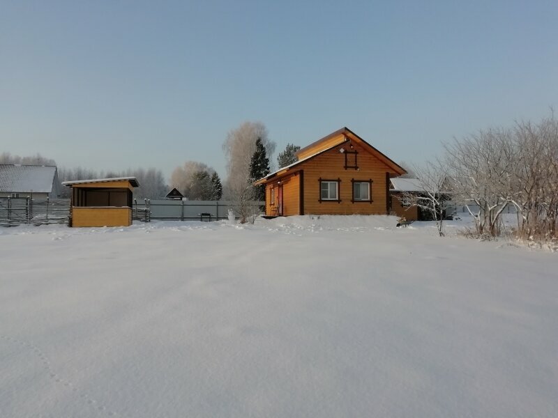 Дом с видом на лес