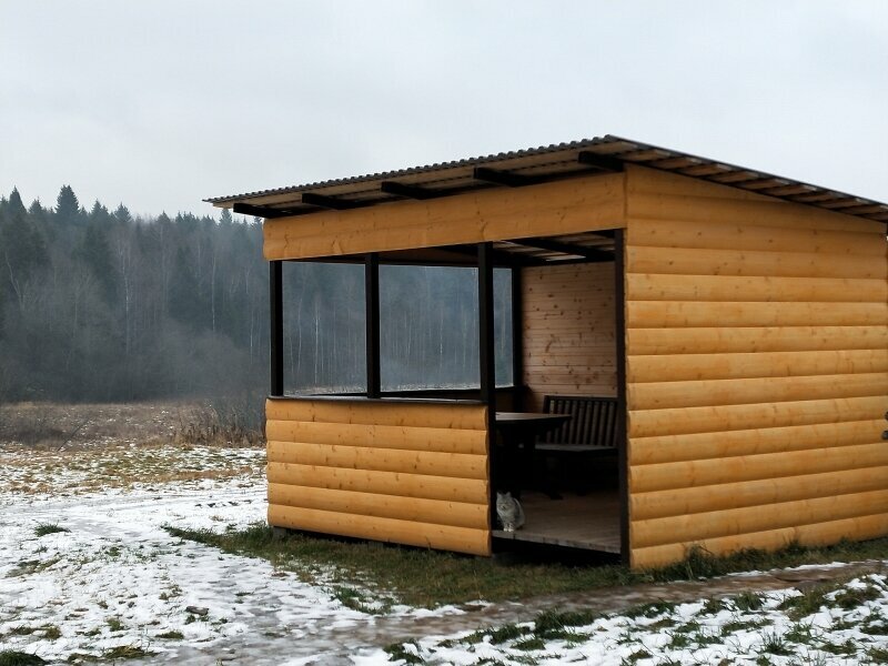 Дом с видом на лес