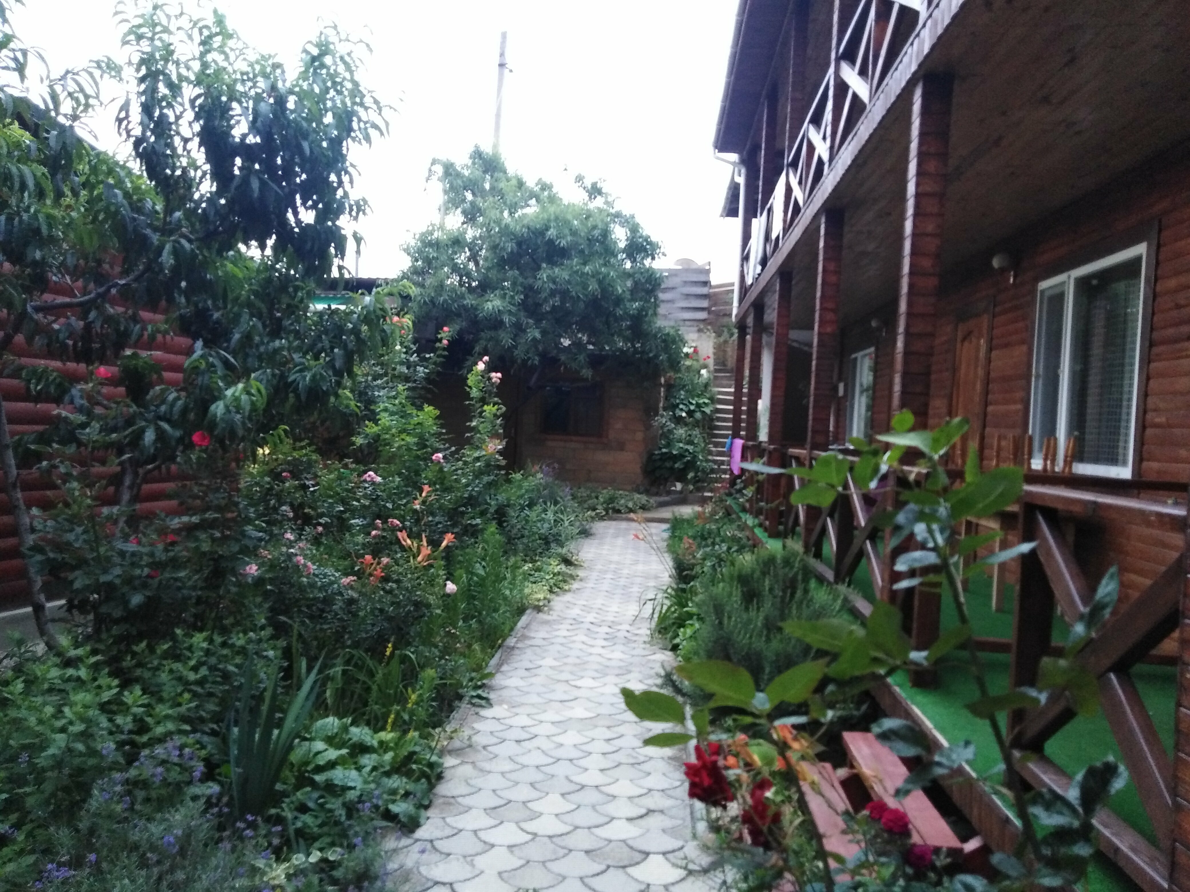 Бюджетный двухместный номер с 1 кроватью