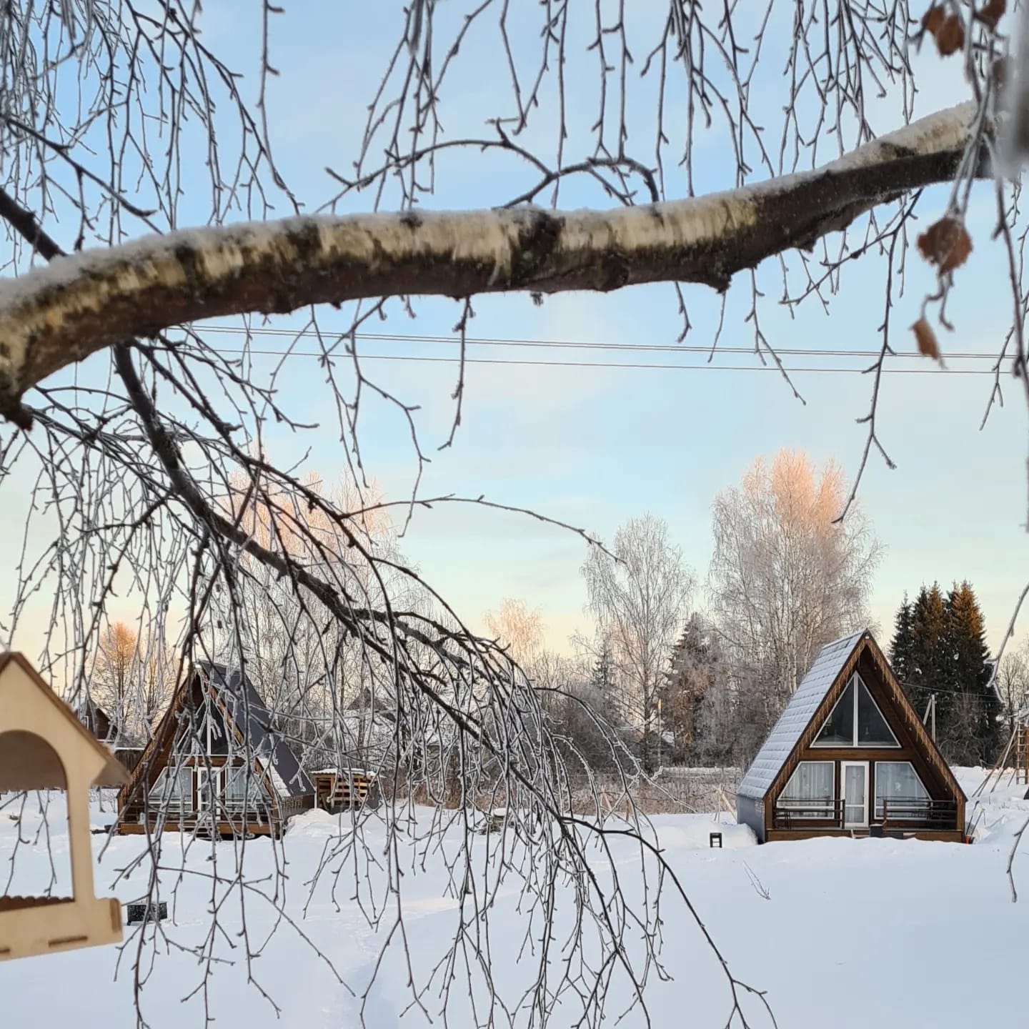 Дом с видом на лес