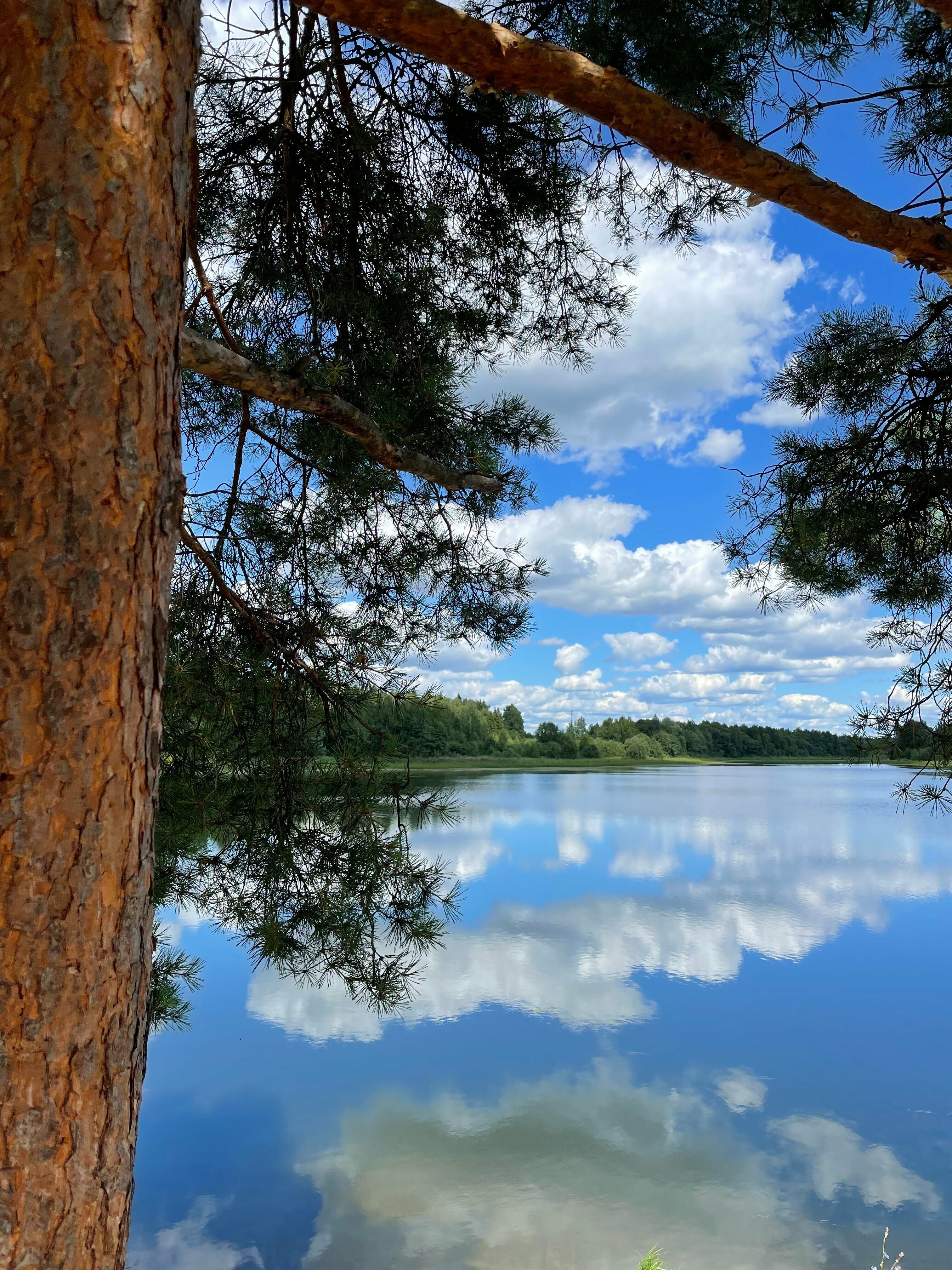 Дом с 1 спальней