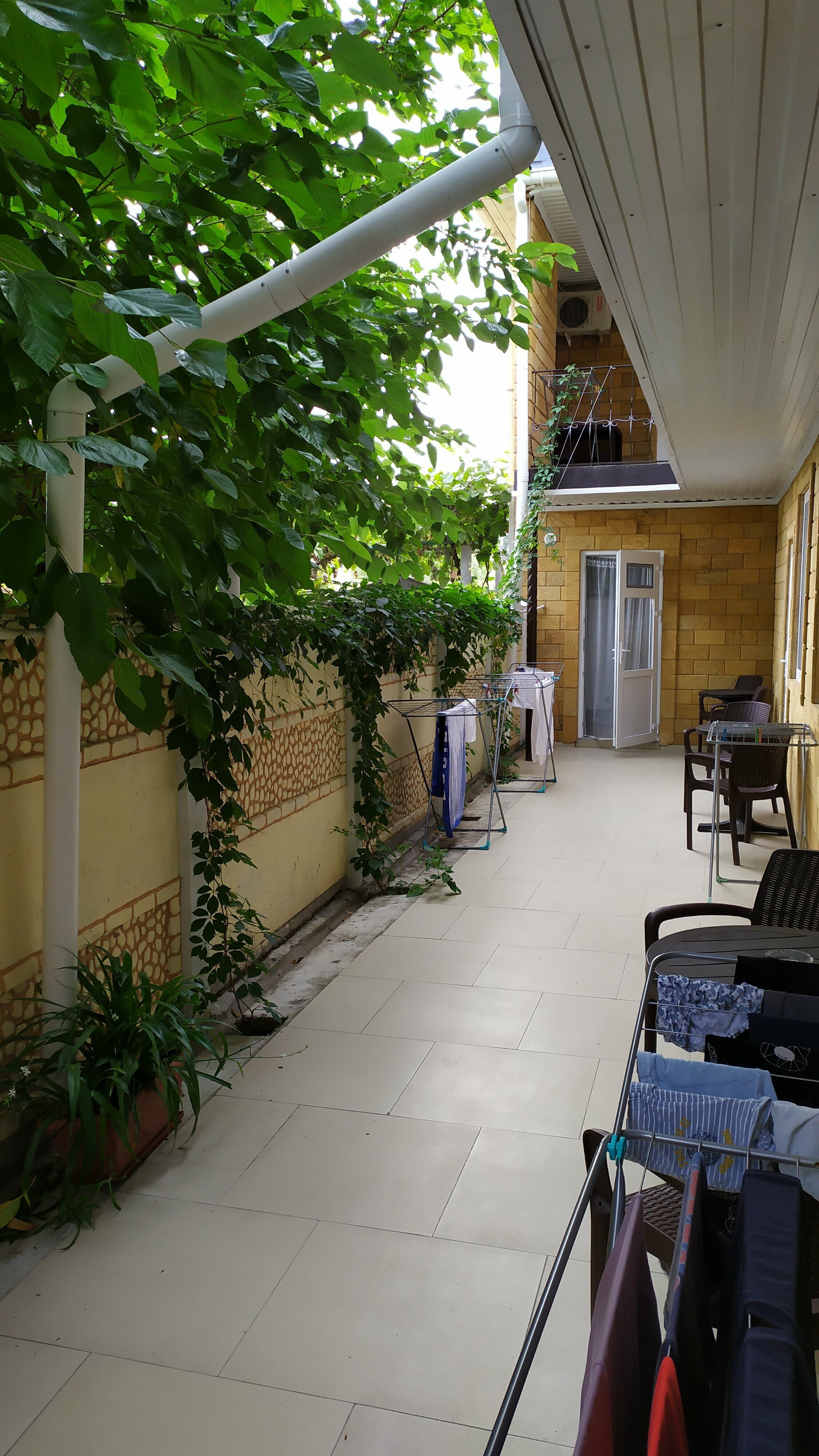 Семейный номер-студия