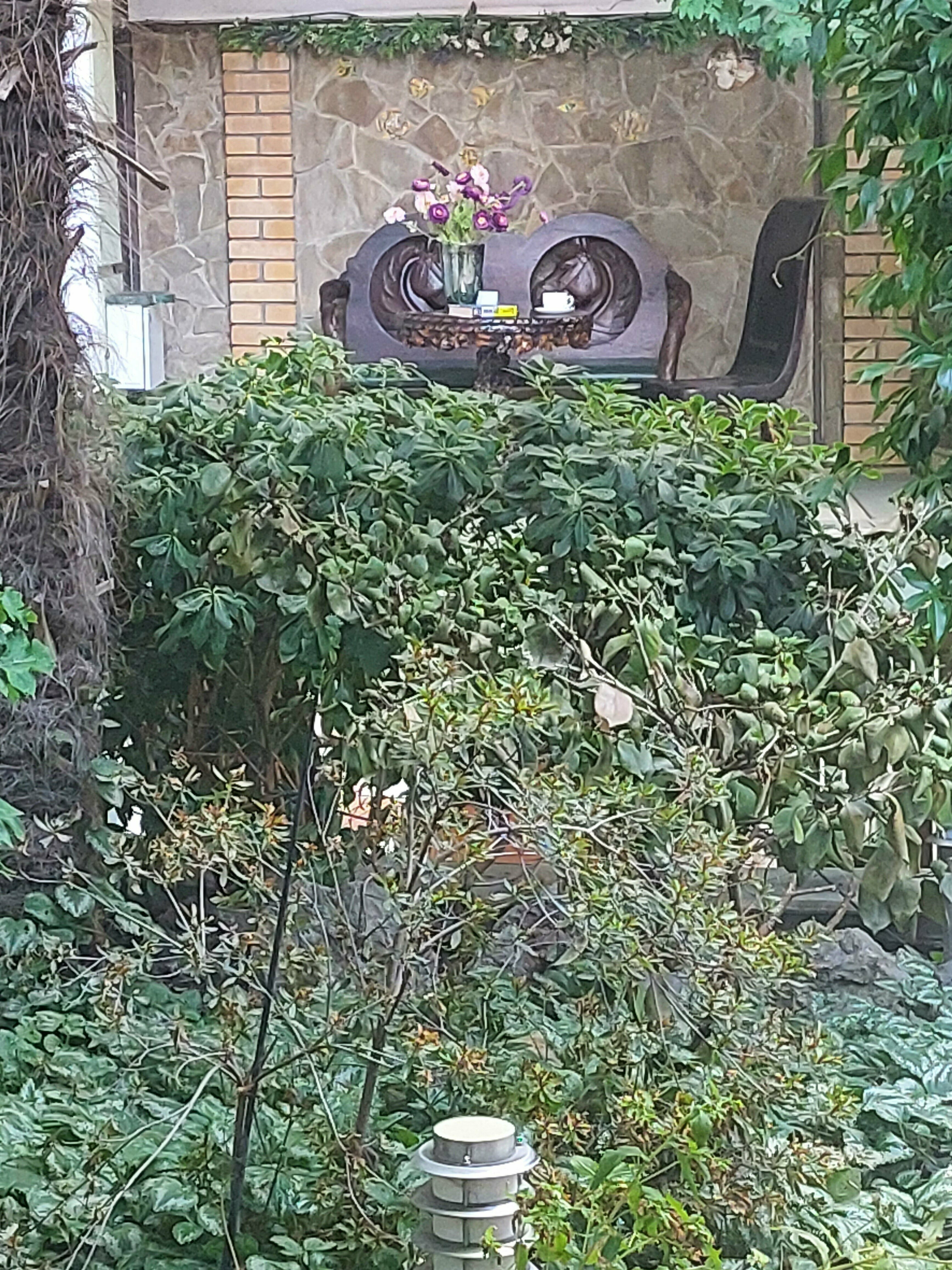 Стандартный номер с кроватью размера "queen-size"