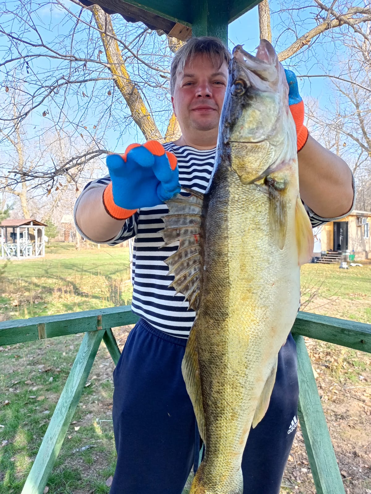 Четырехместный номер «Премиум»