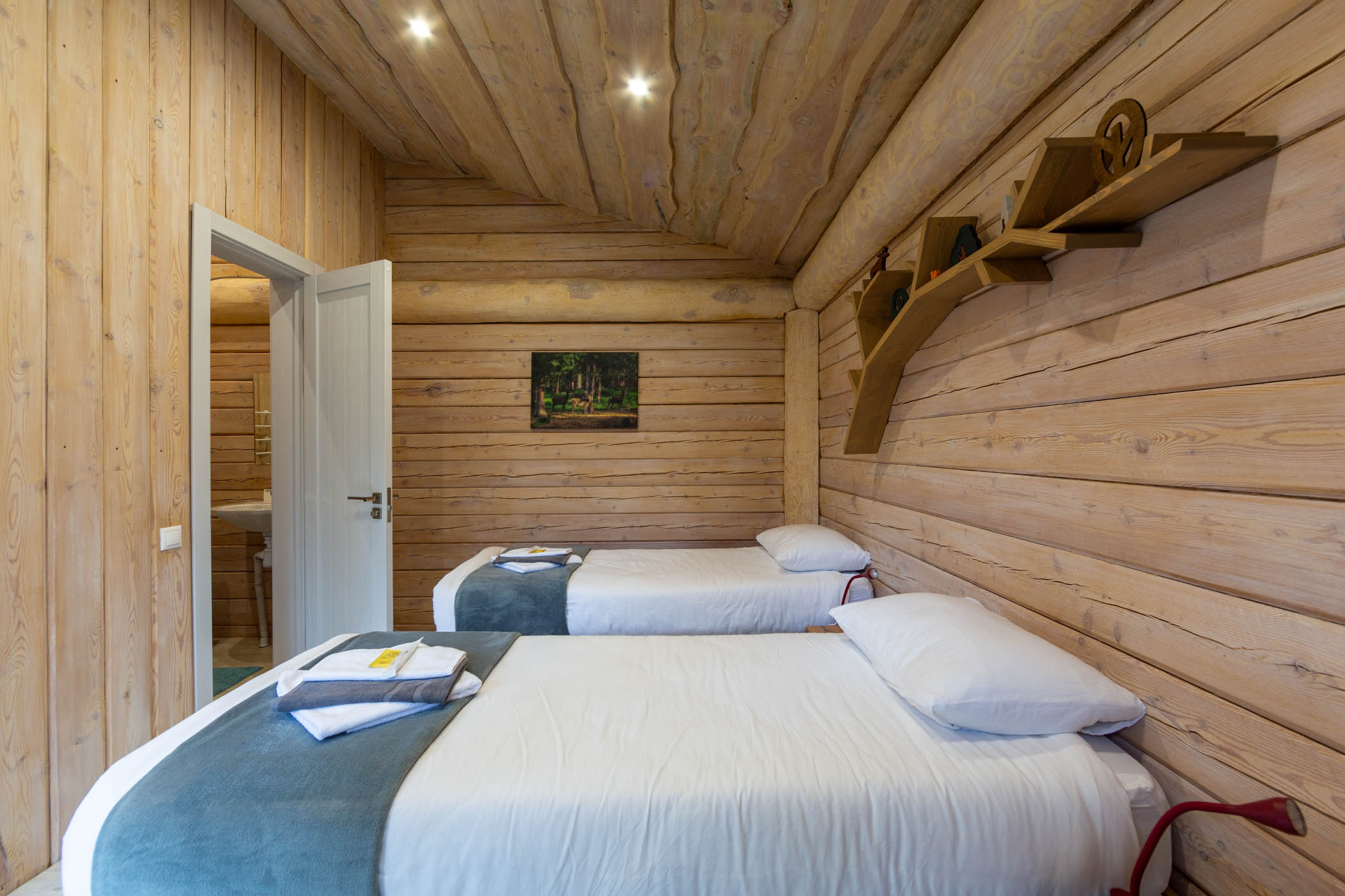 Двухместный номер с 2 отдельными кроватями и террасой