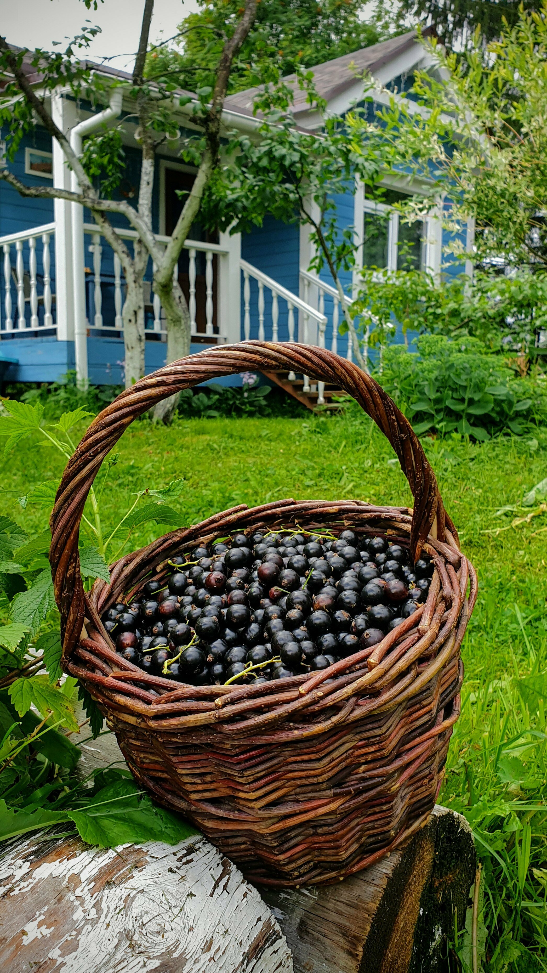 Дом с 1 спальней