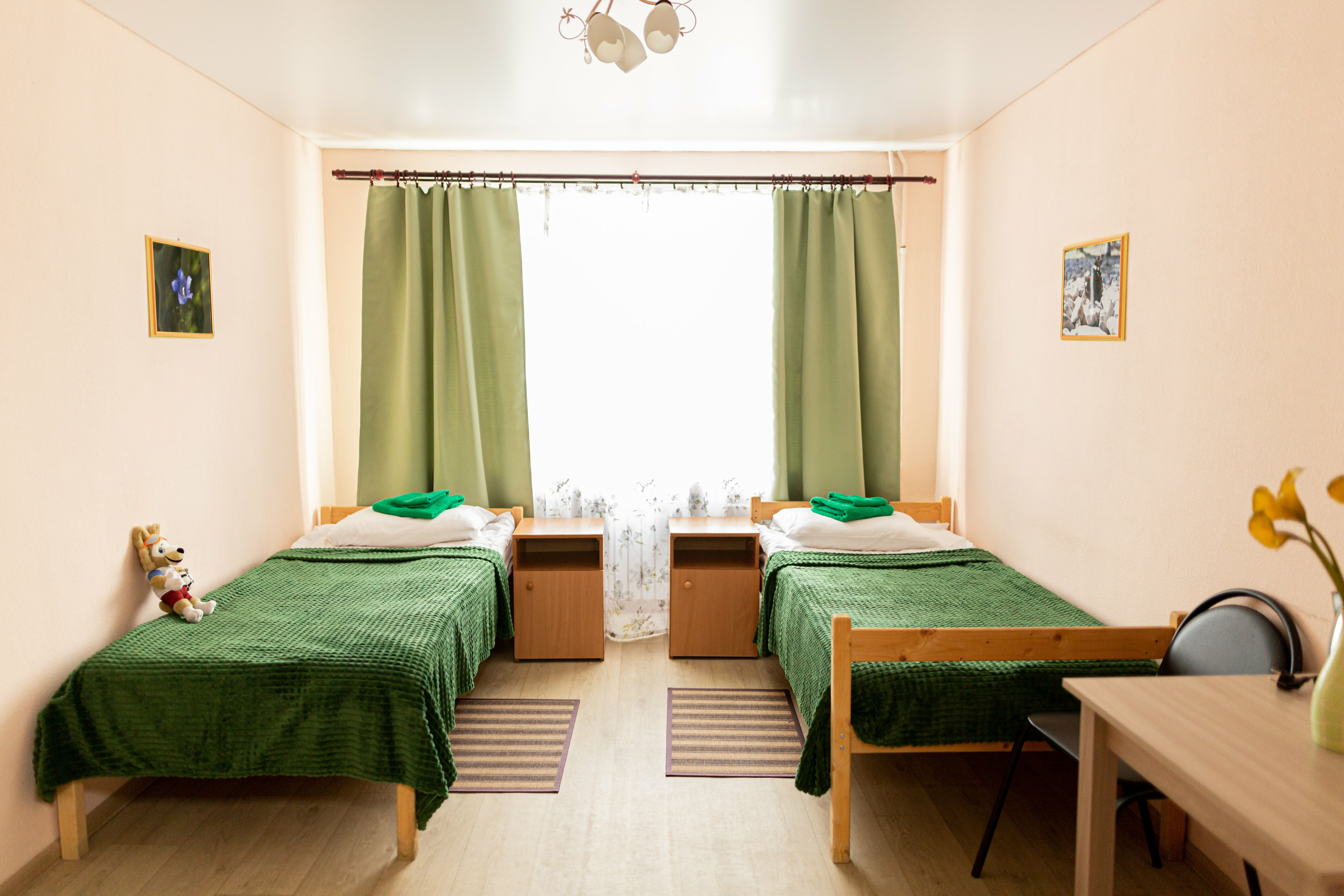 Двухместный номер с 2 отдельными кроватями