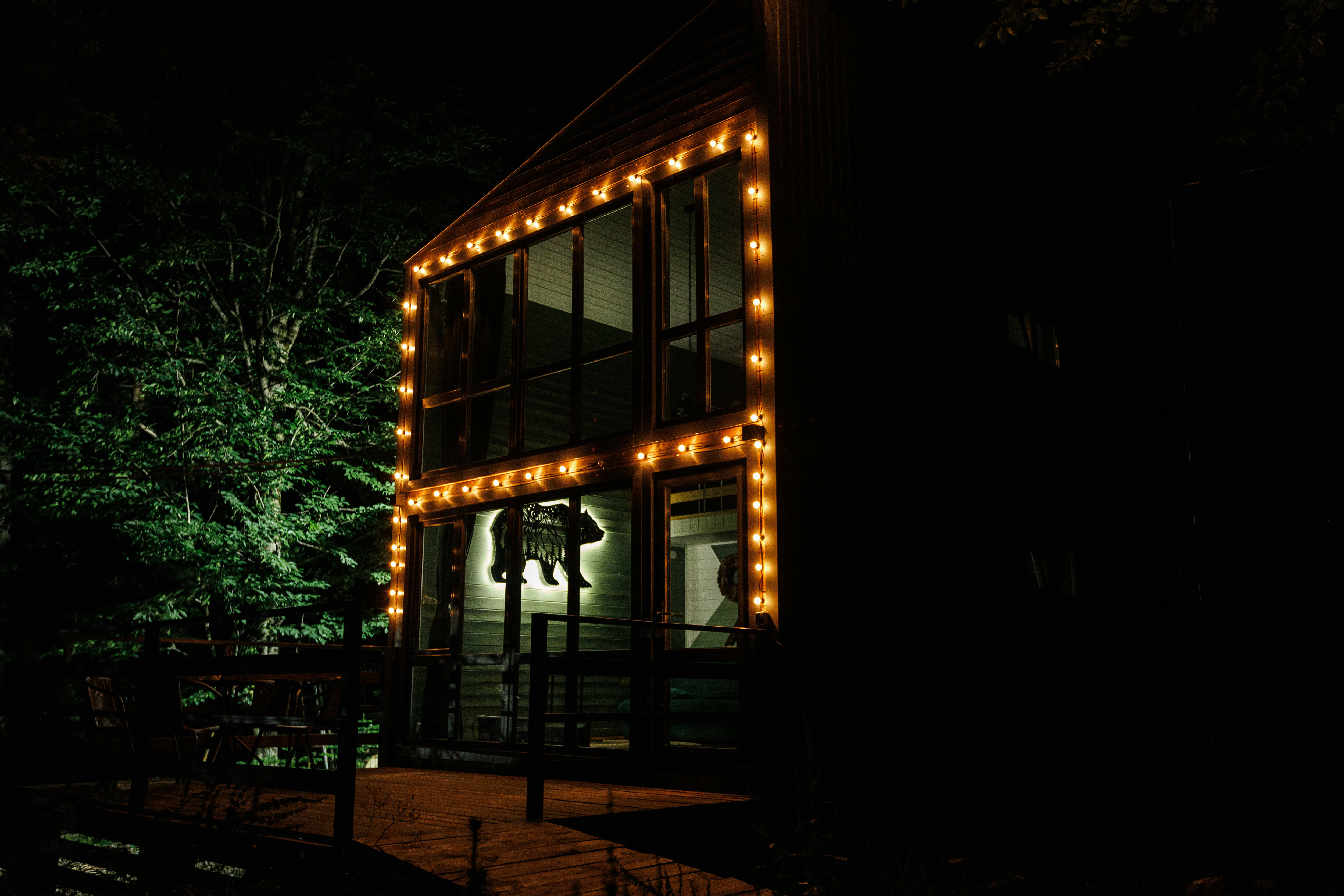 Дом с видом на лес