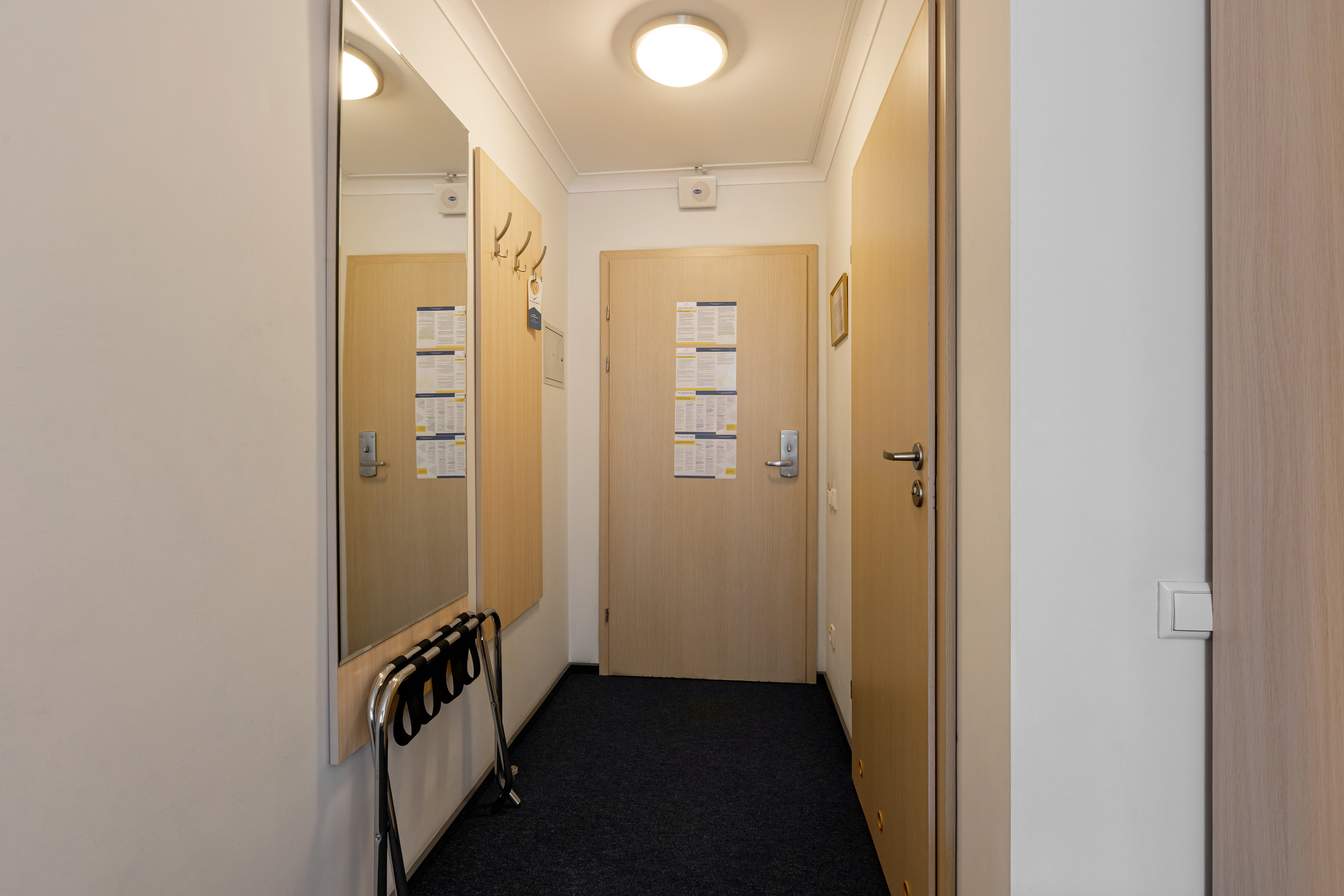 Двухместный номер Делюкс с 1 кроватью или 2 отдельными кроватями