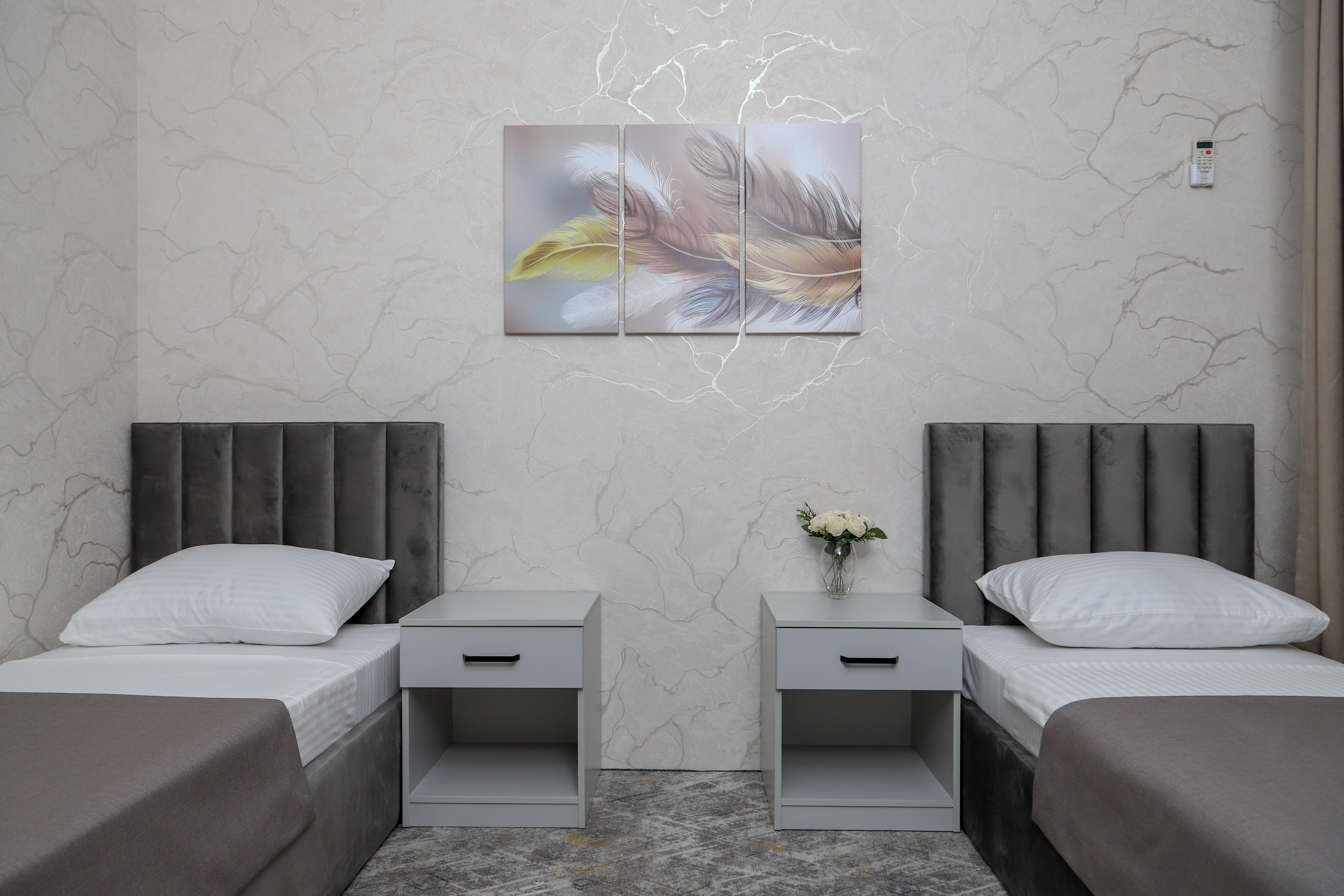 Улучшенный двухместный номер с 2 отдельными кроватями