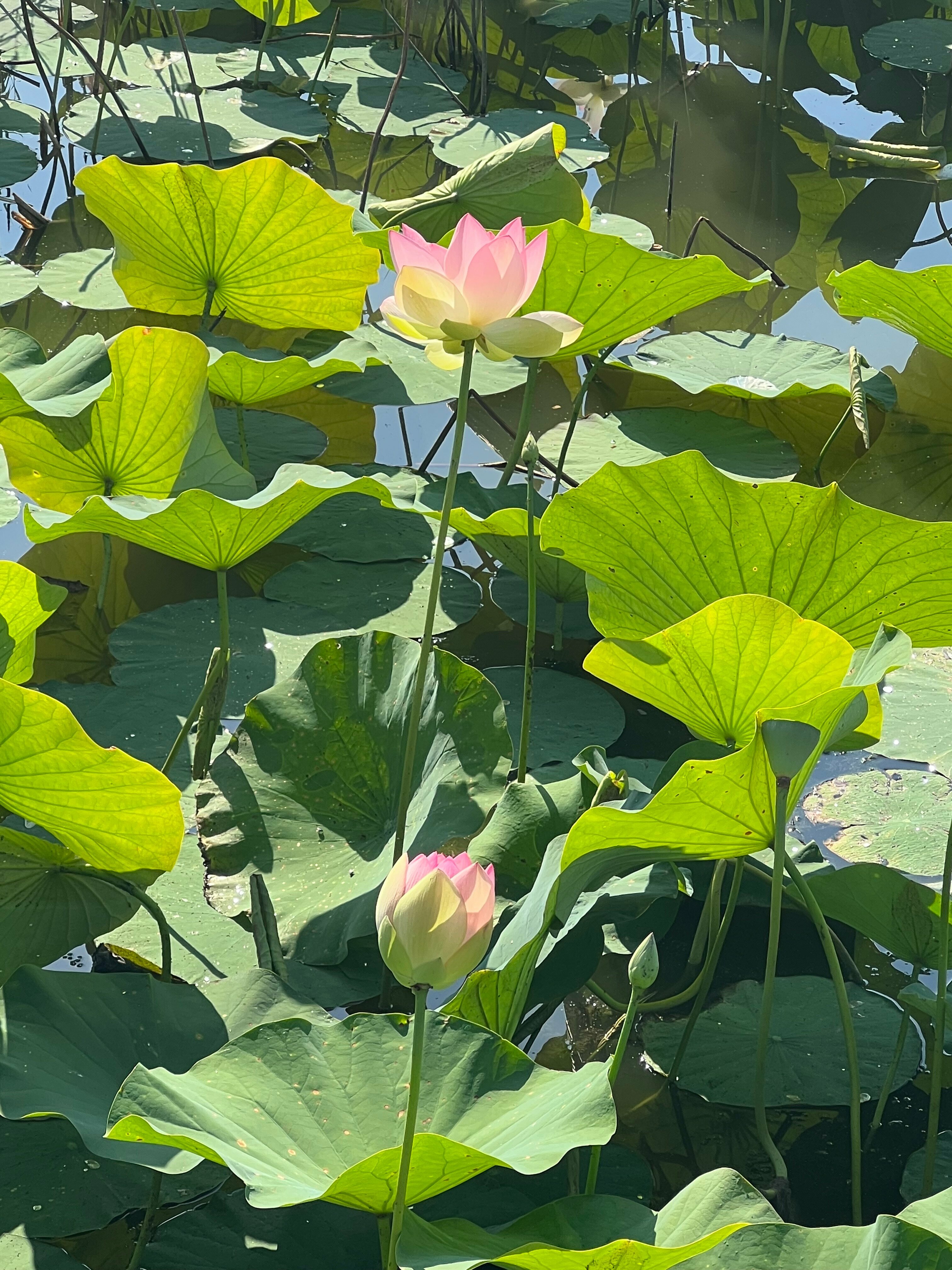 Дом с видом на озеро